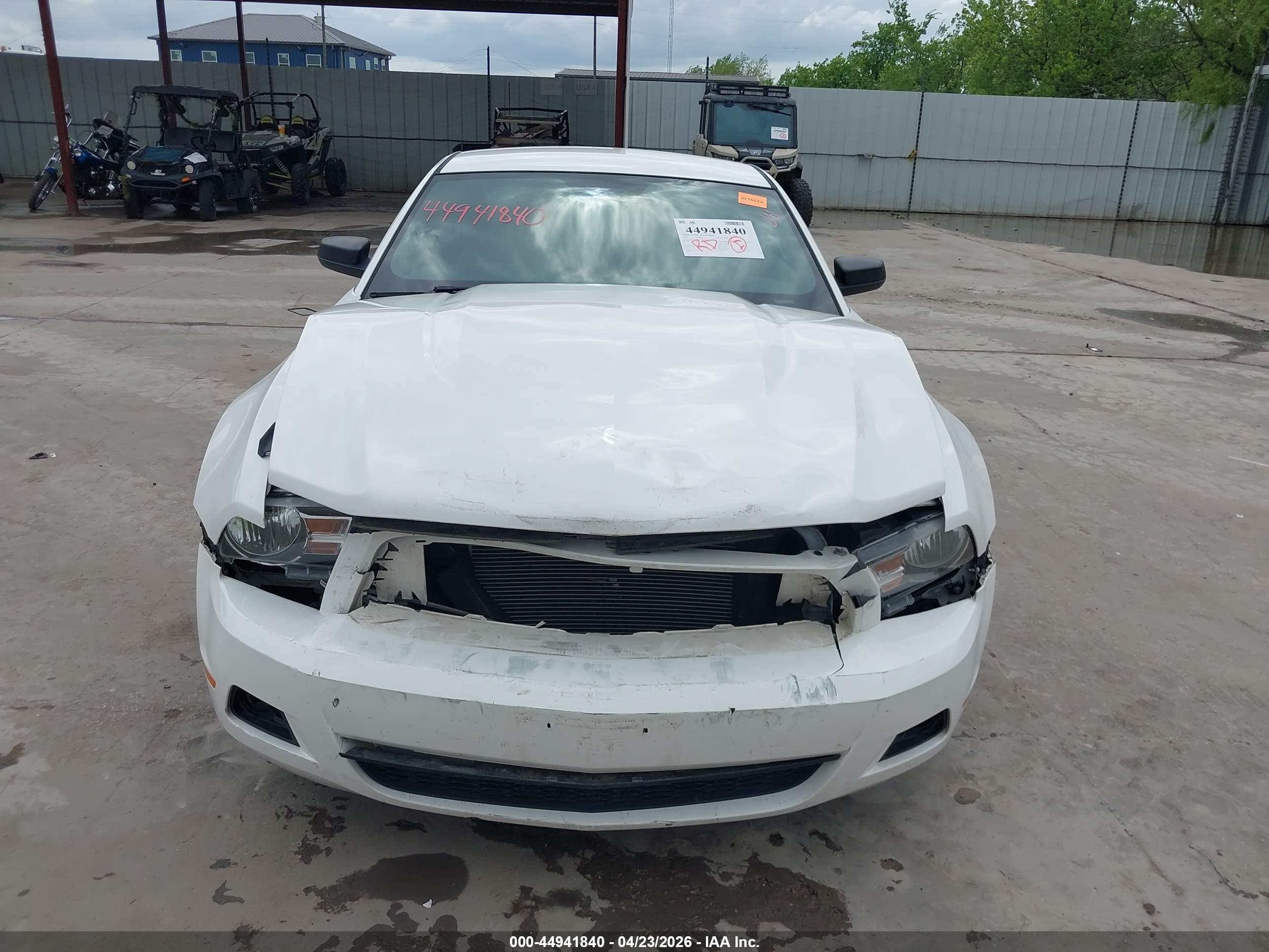 FORD MUSTANG image 6