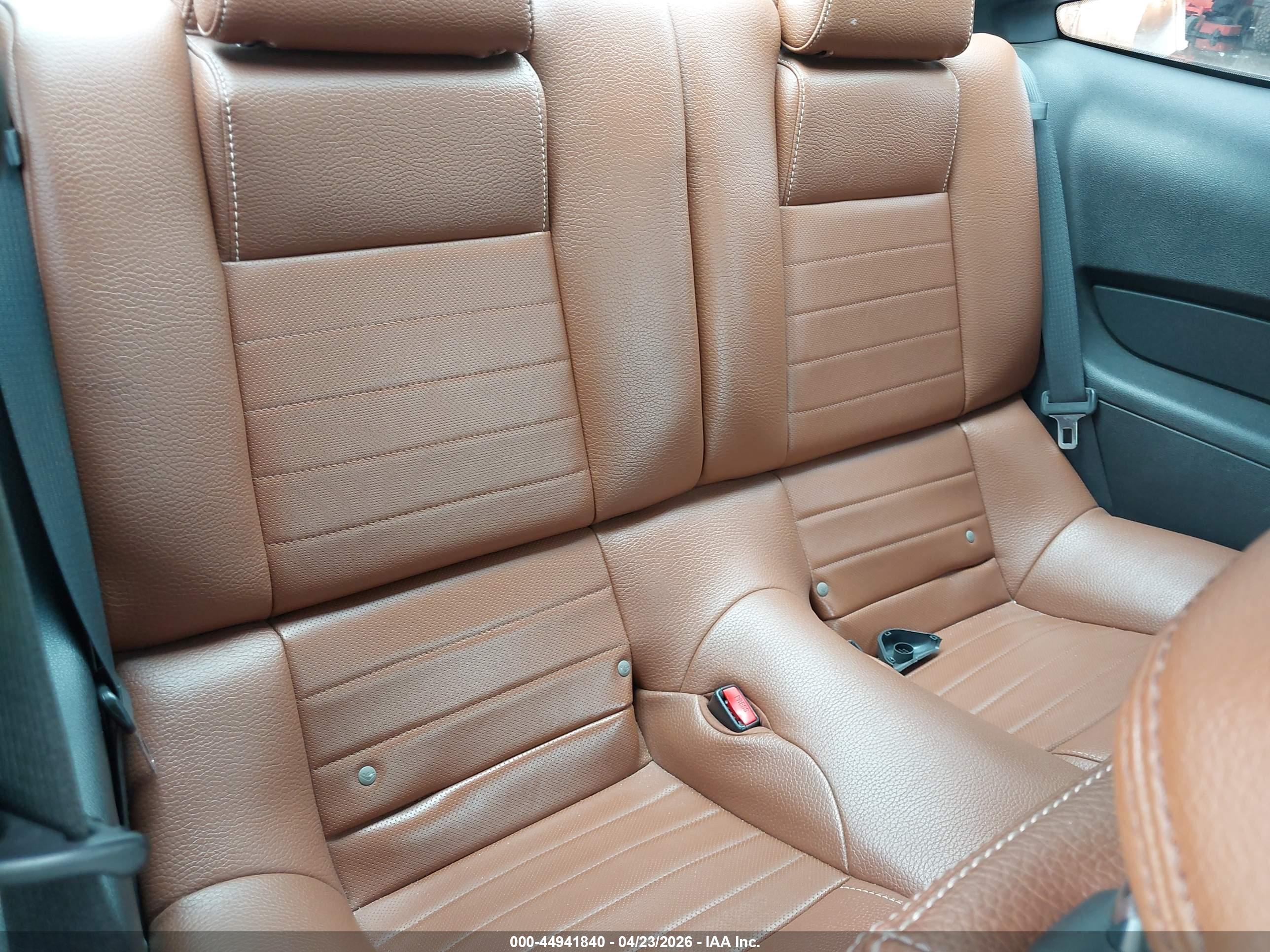 FORD MUSTANG image 8