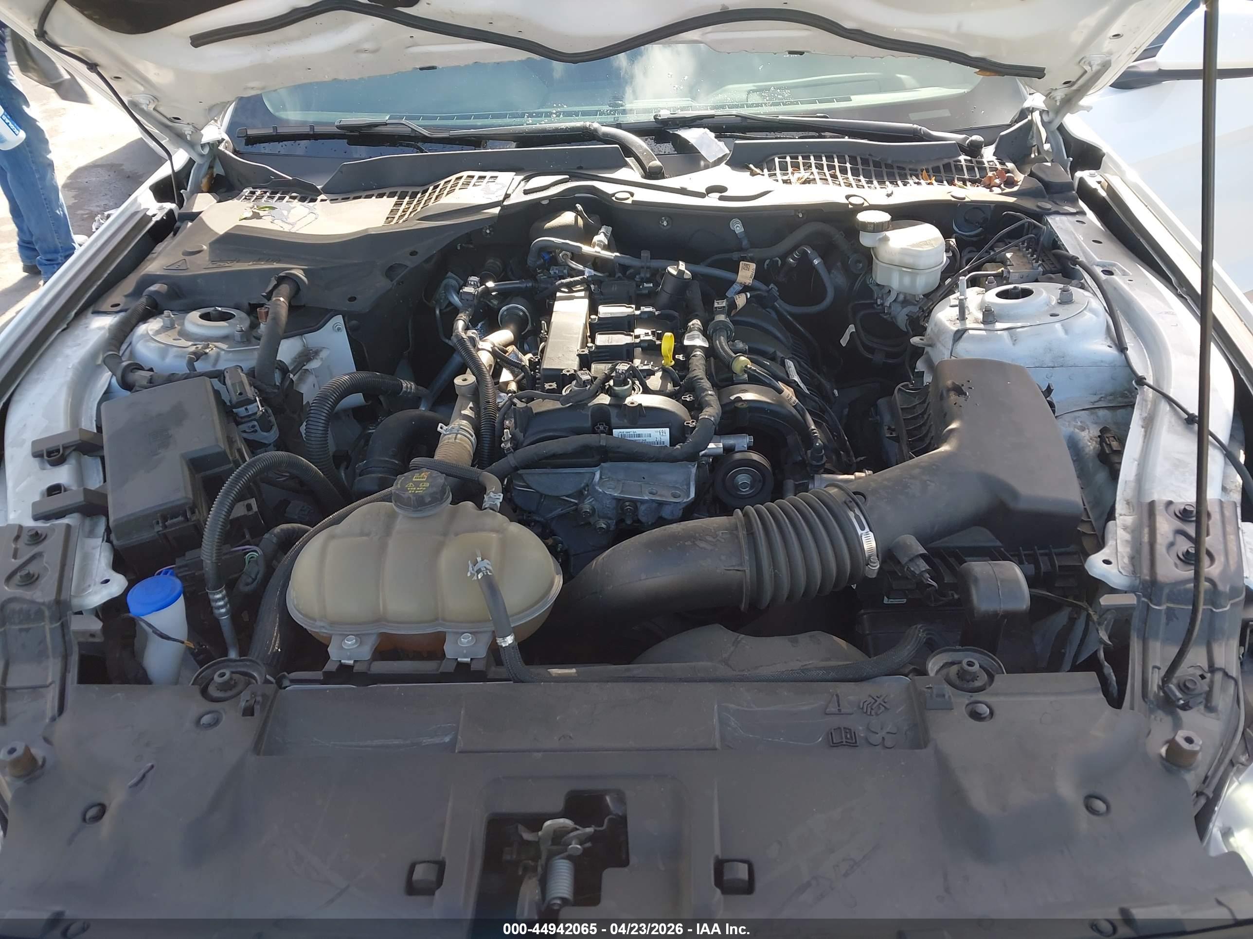 FORD MUSTANG image 10