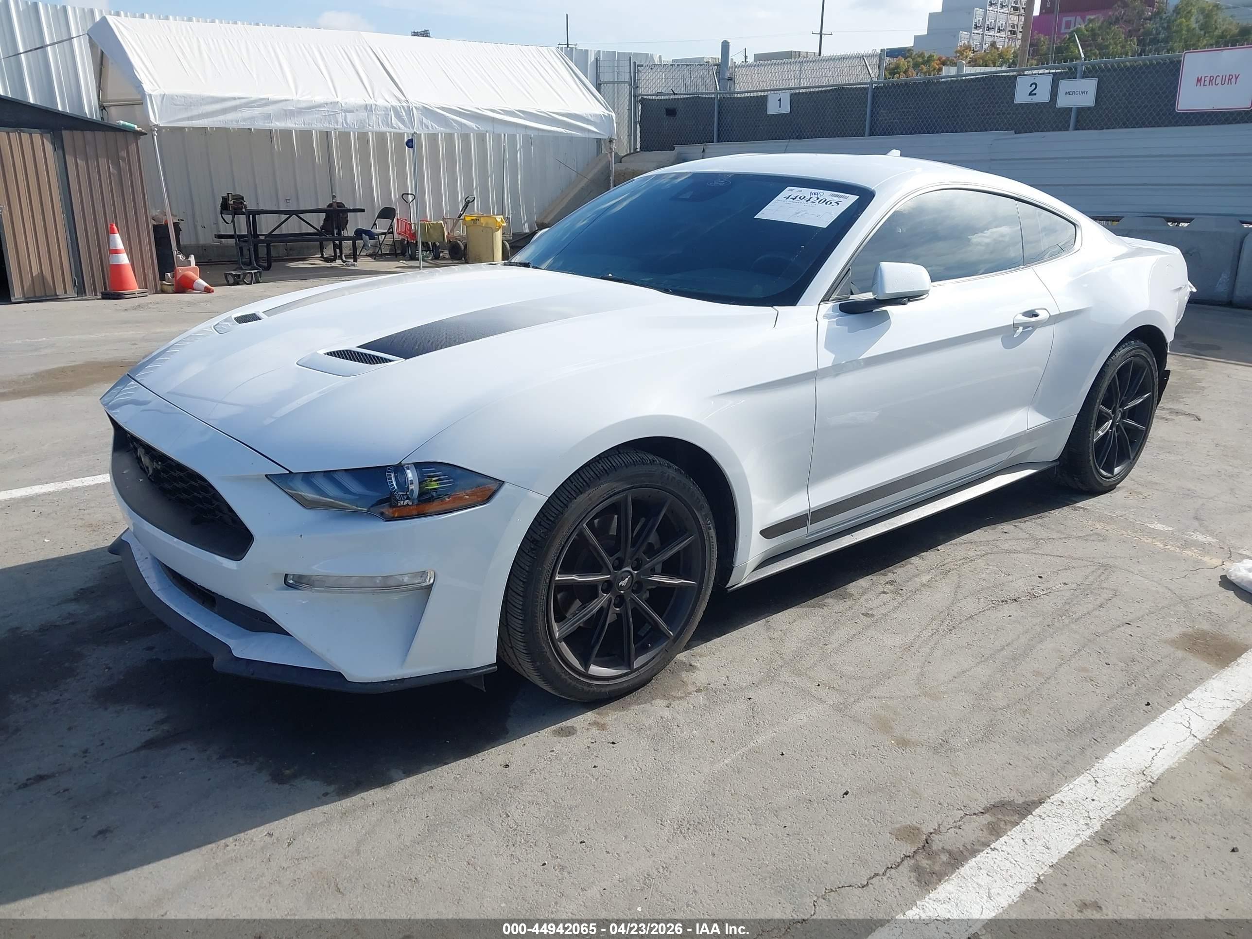 FORD MUSTANG image 2