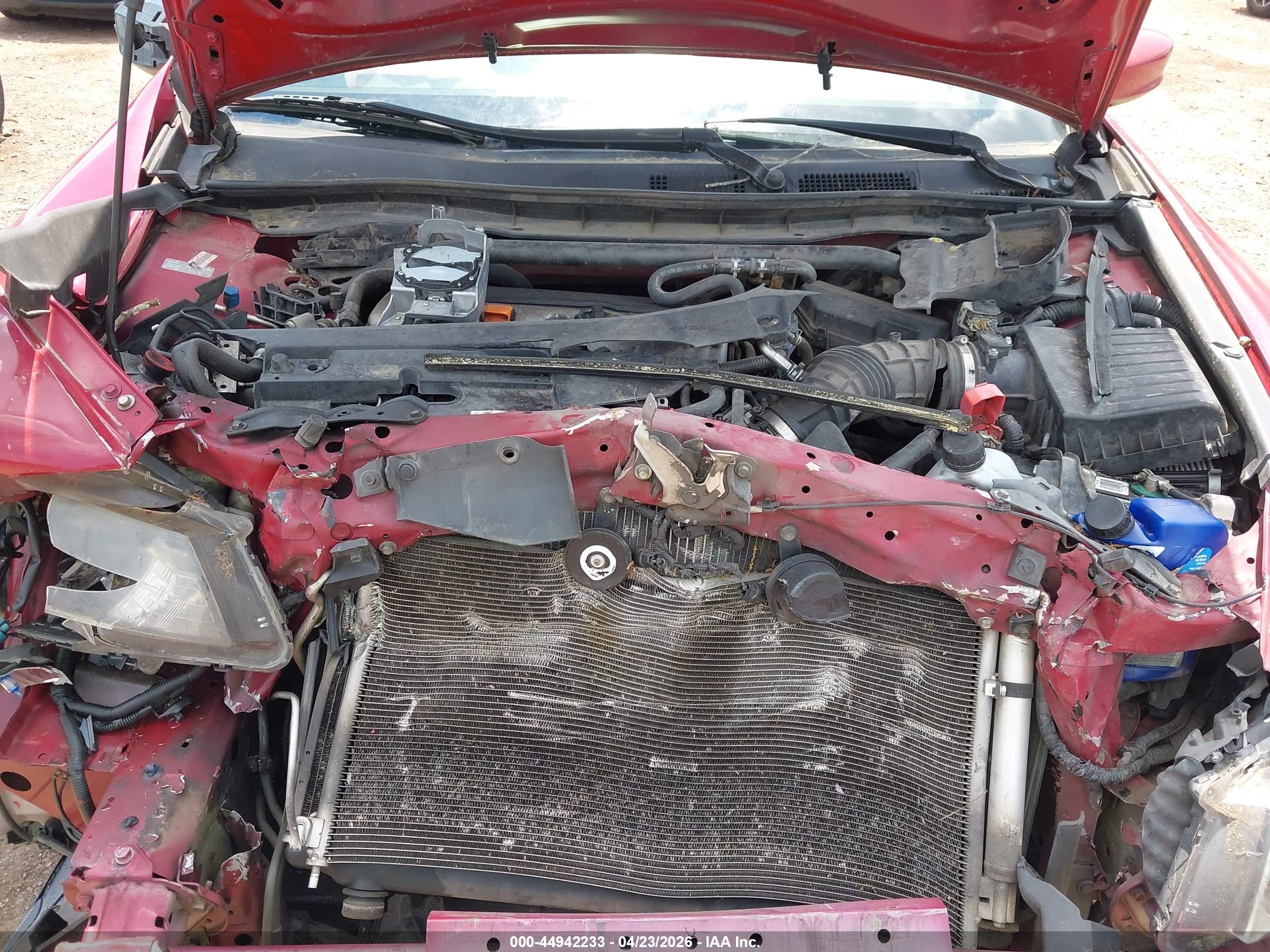 HONDA ACCORD image 10
