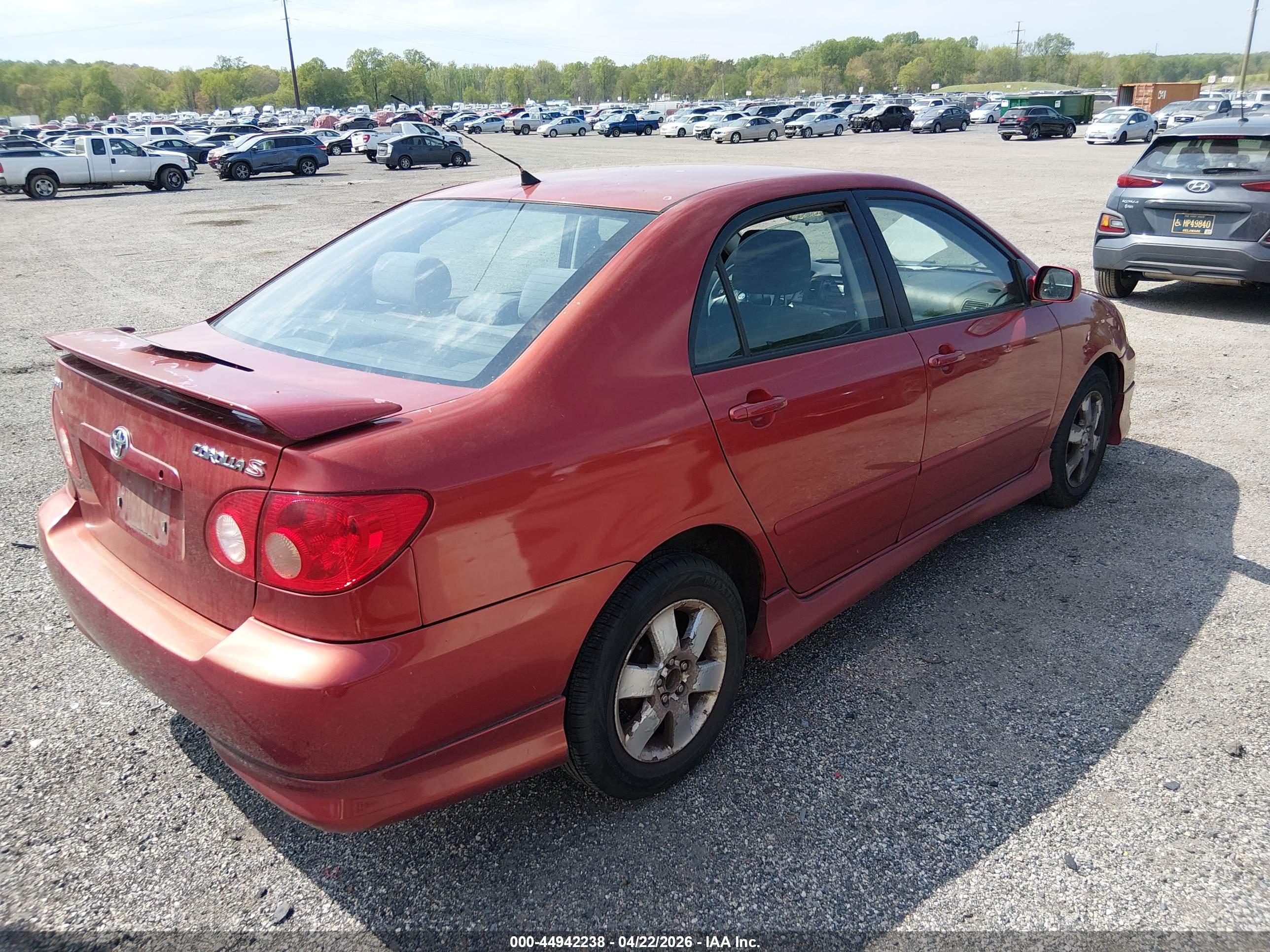 TOYOTA COROLLA image 4