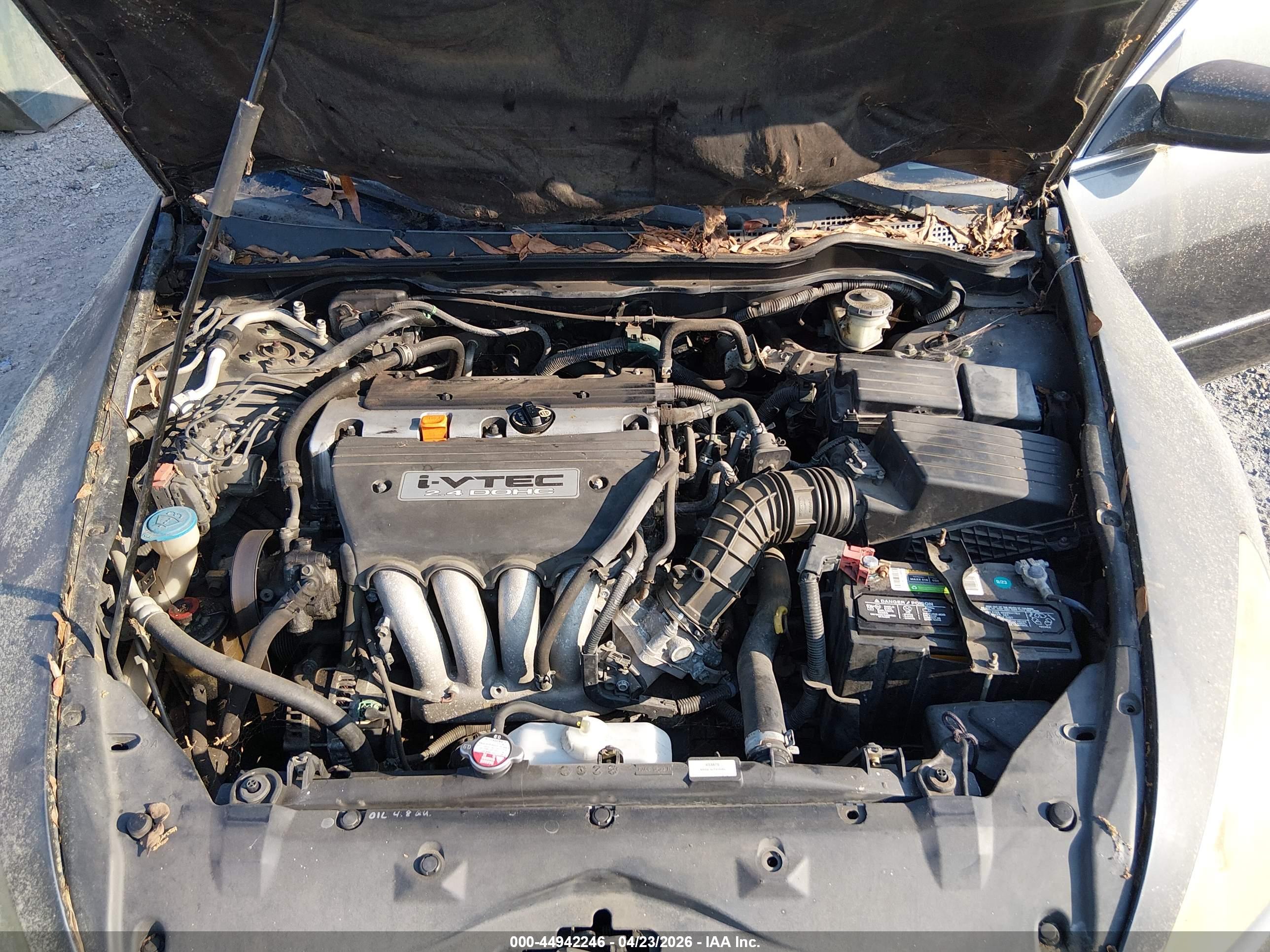 HONDA ACCORD image 10