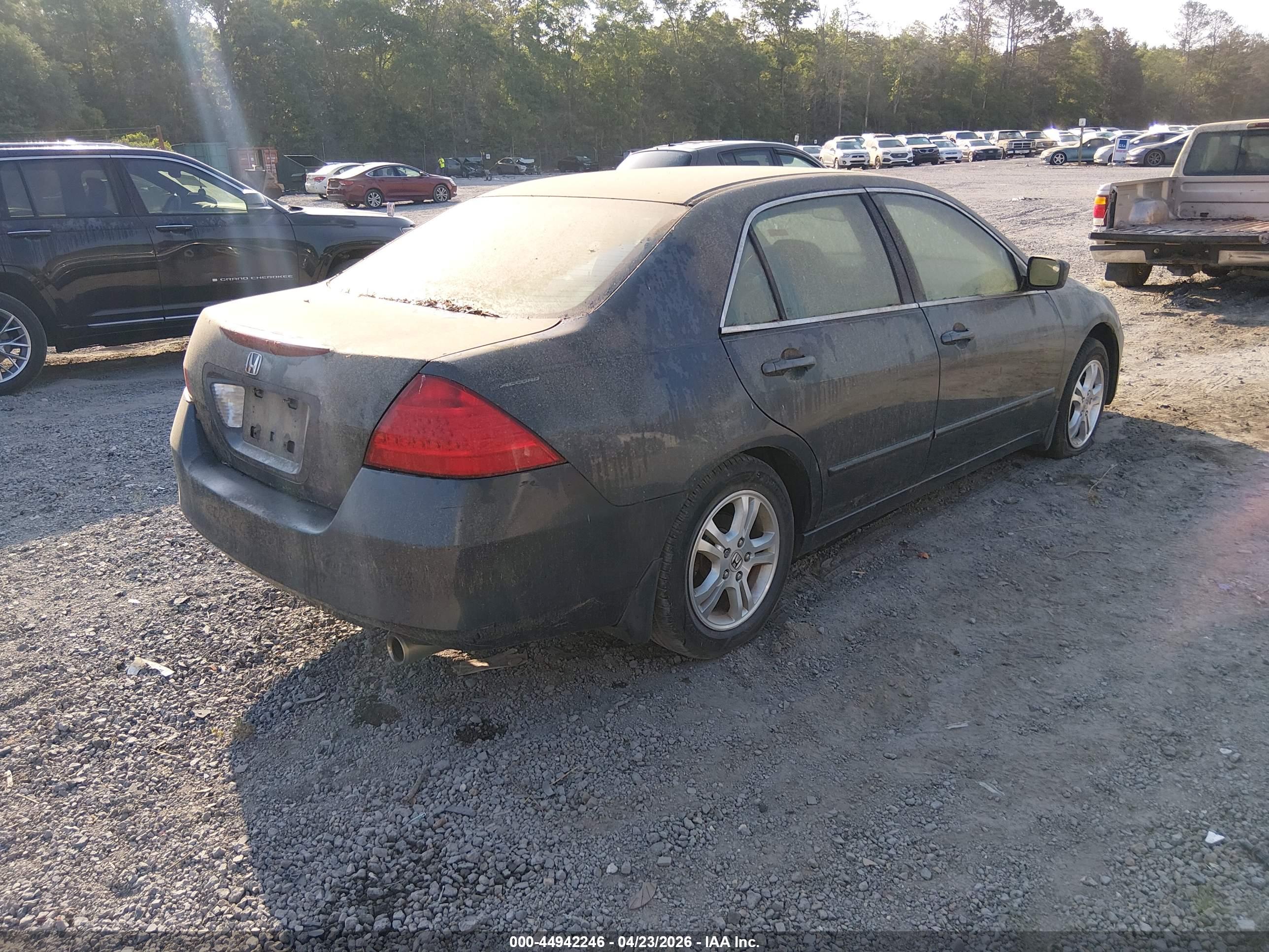 HONDA ACCORD image 4