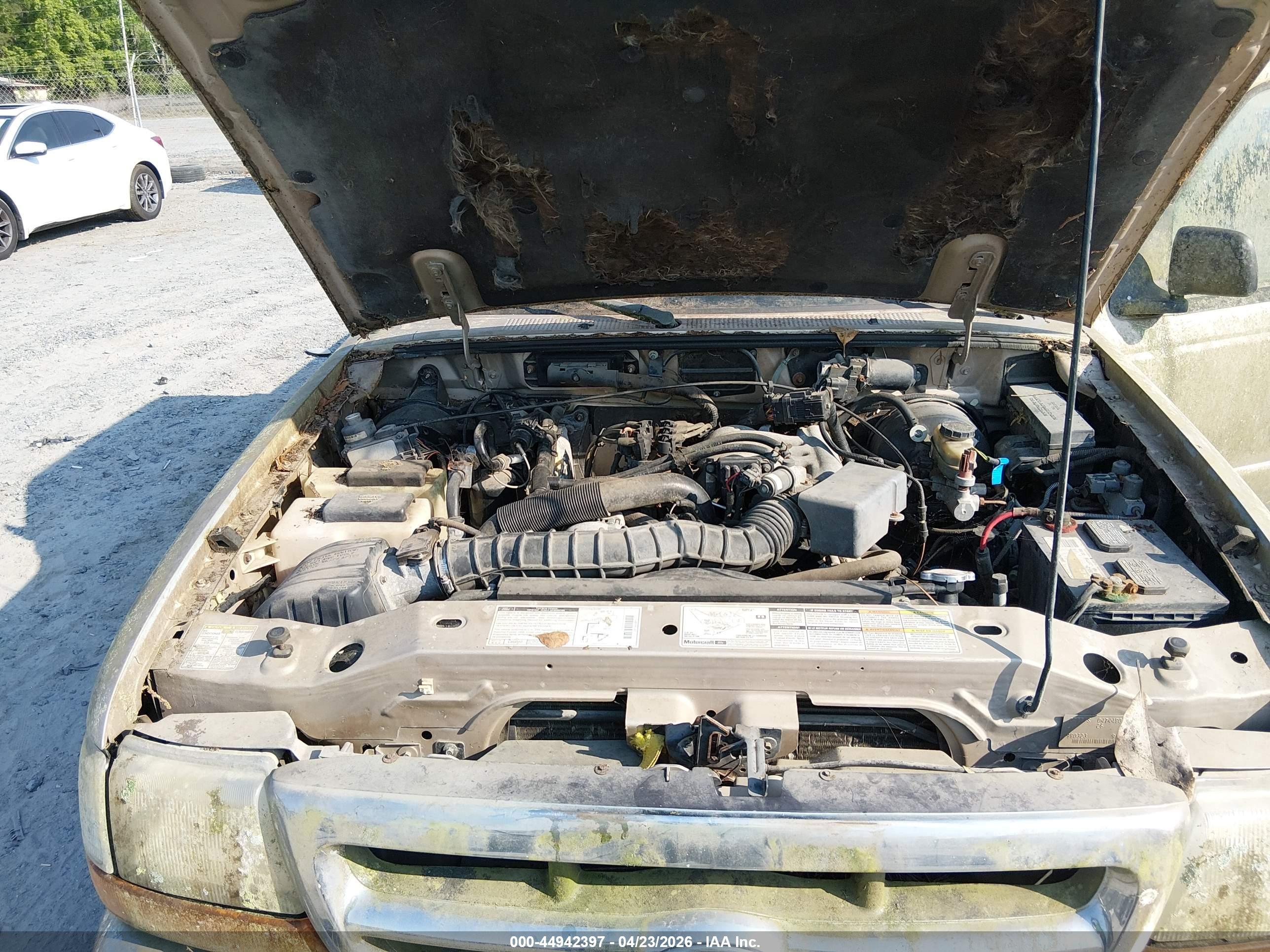 FORD RANGER image 10