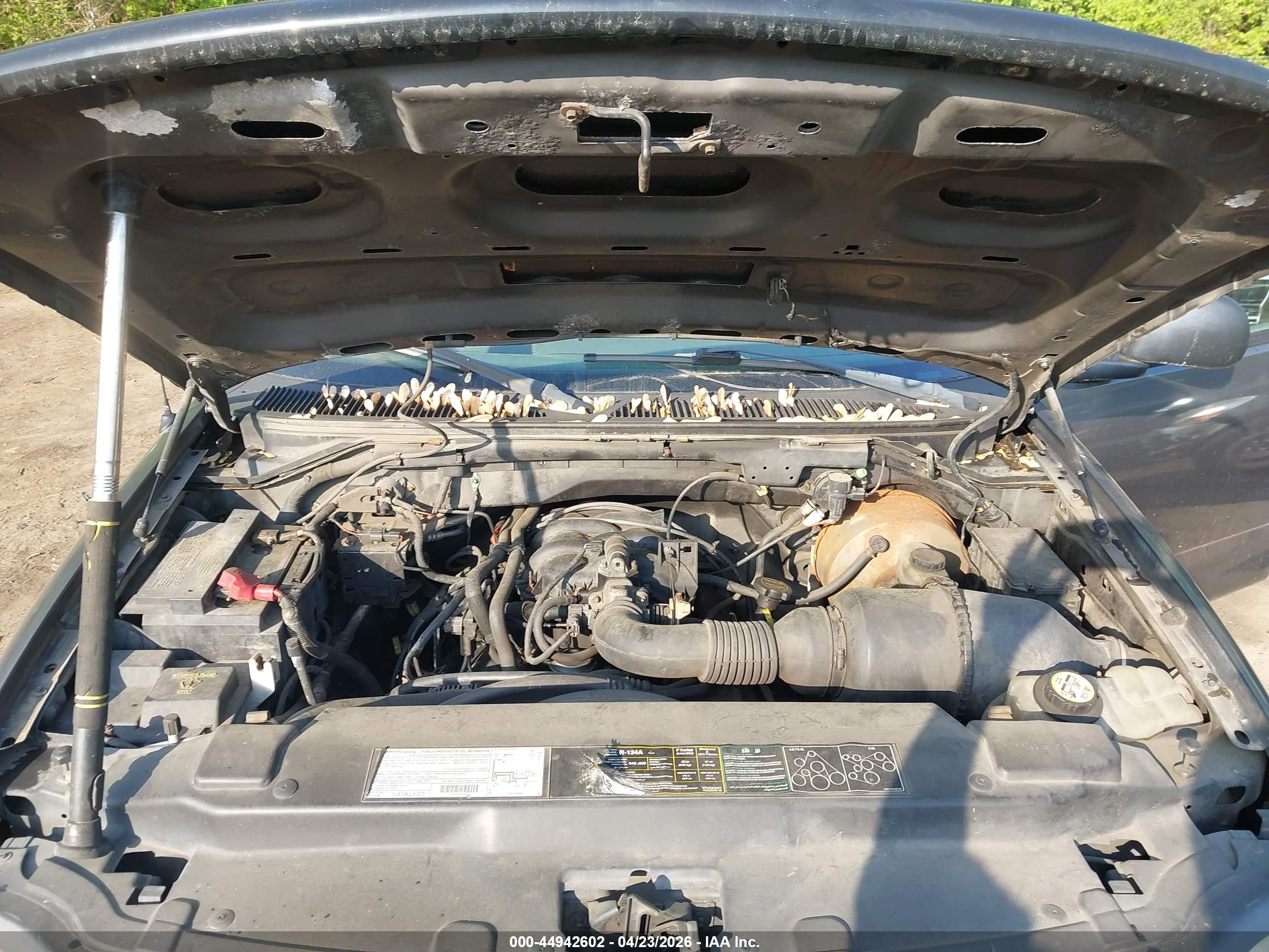 FORD F-150 image 10