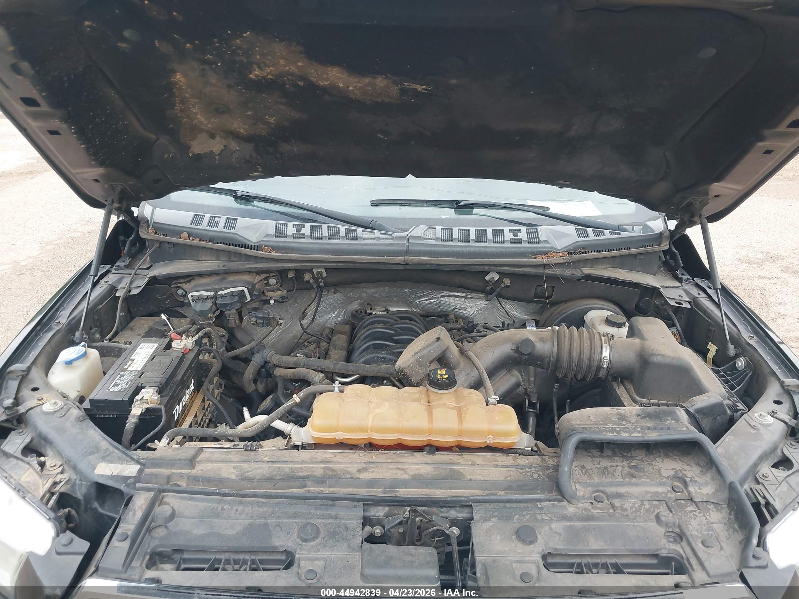 FORD F-150 image 10