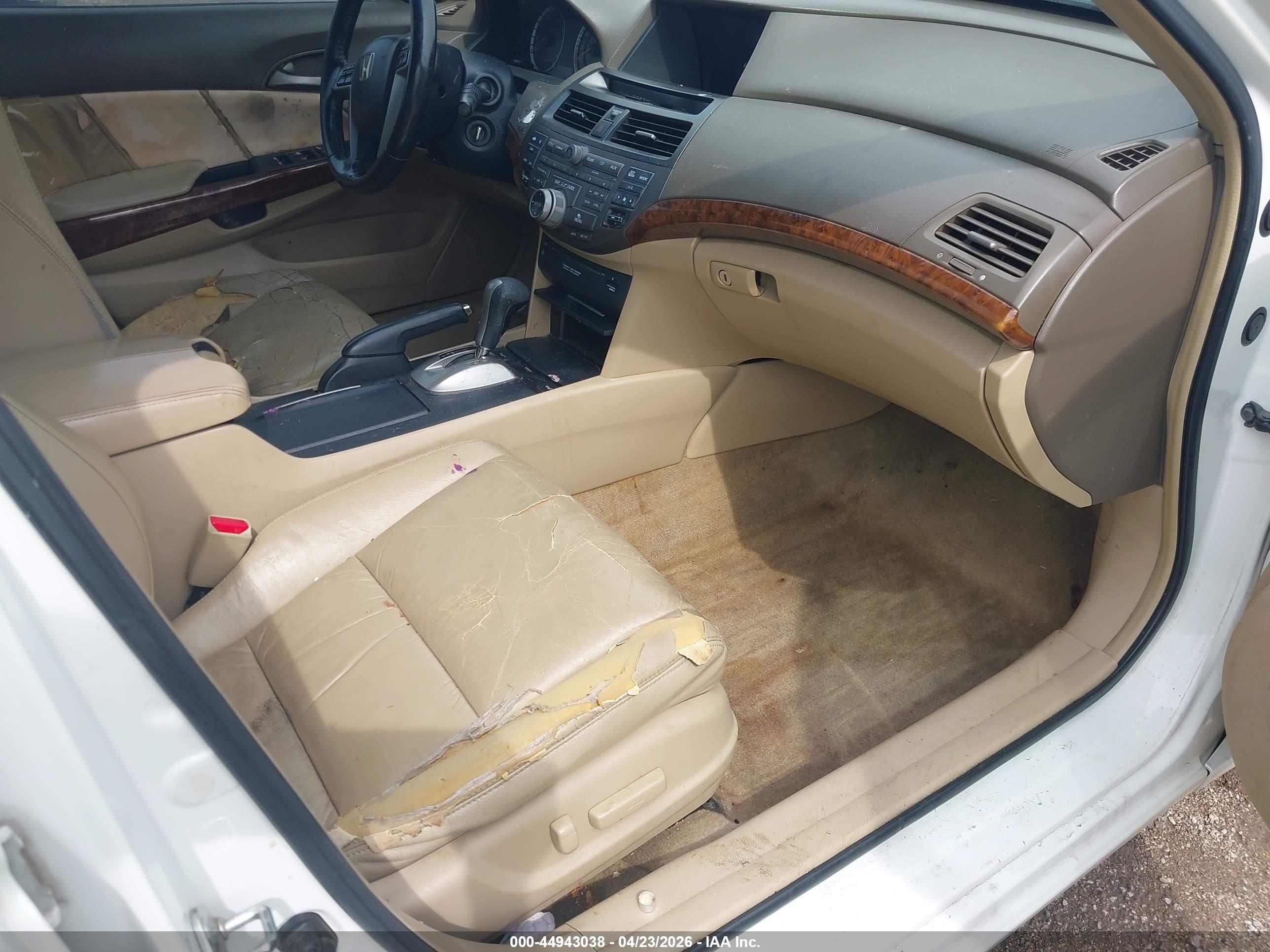 HONDA ACCORD image 5