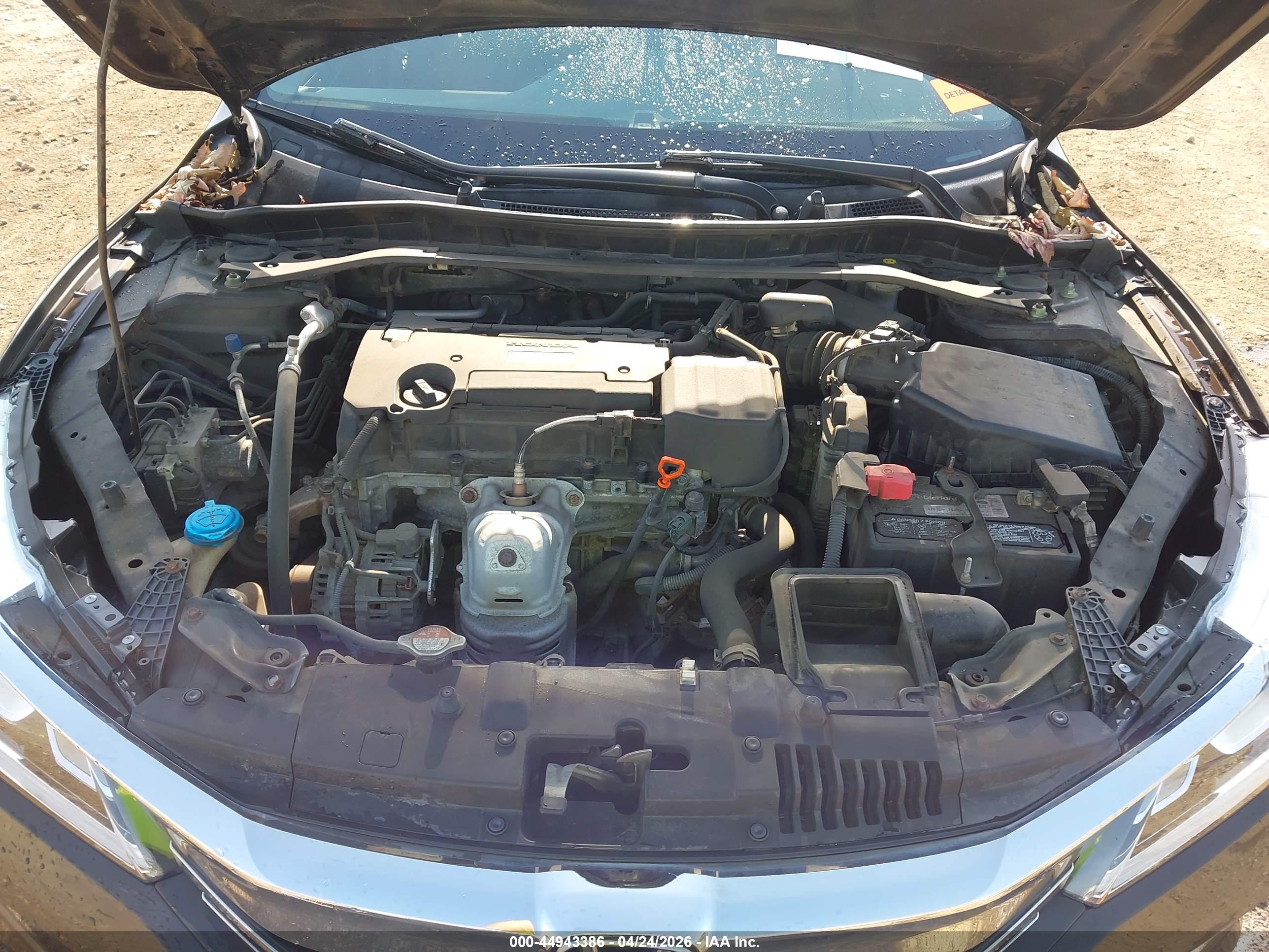 HONDA ACCORD image 10