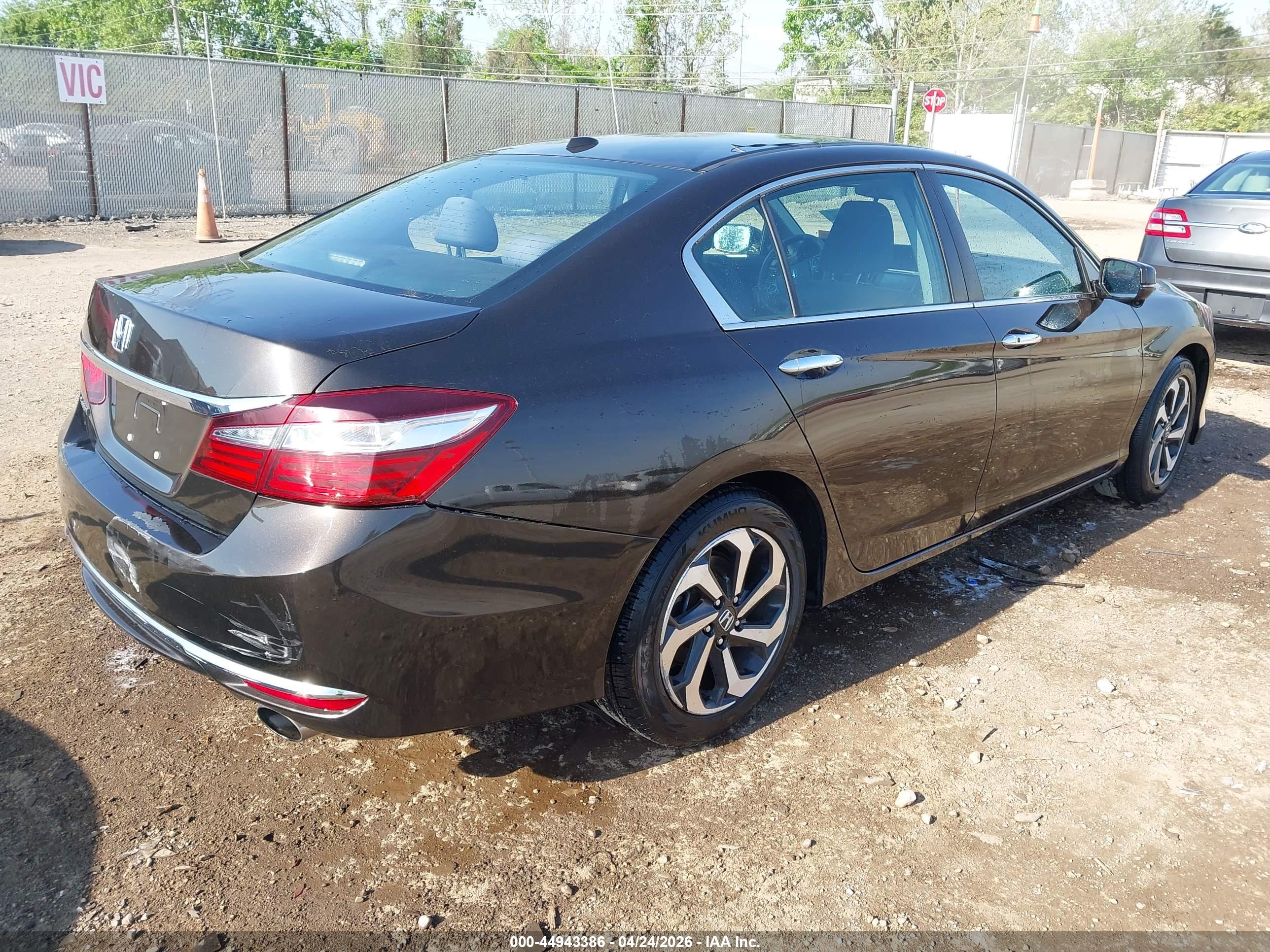 HONDA ACCORD image 4