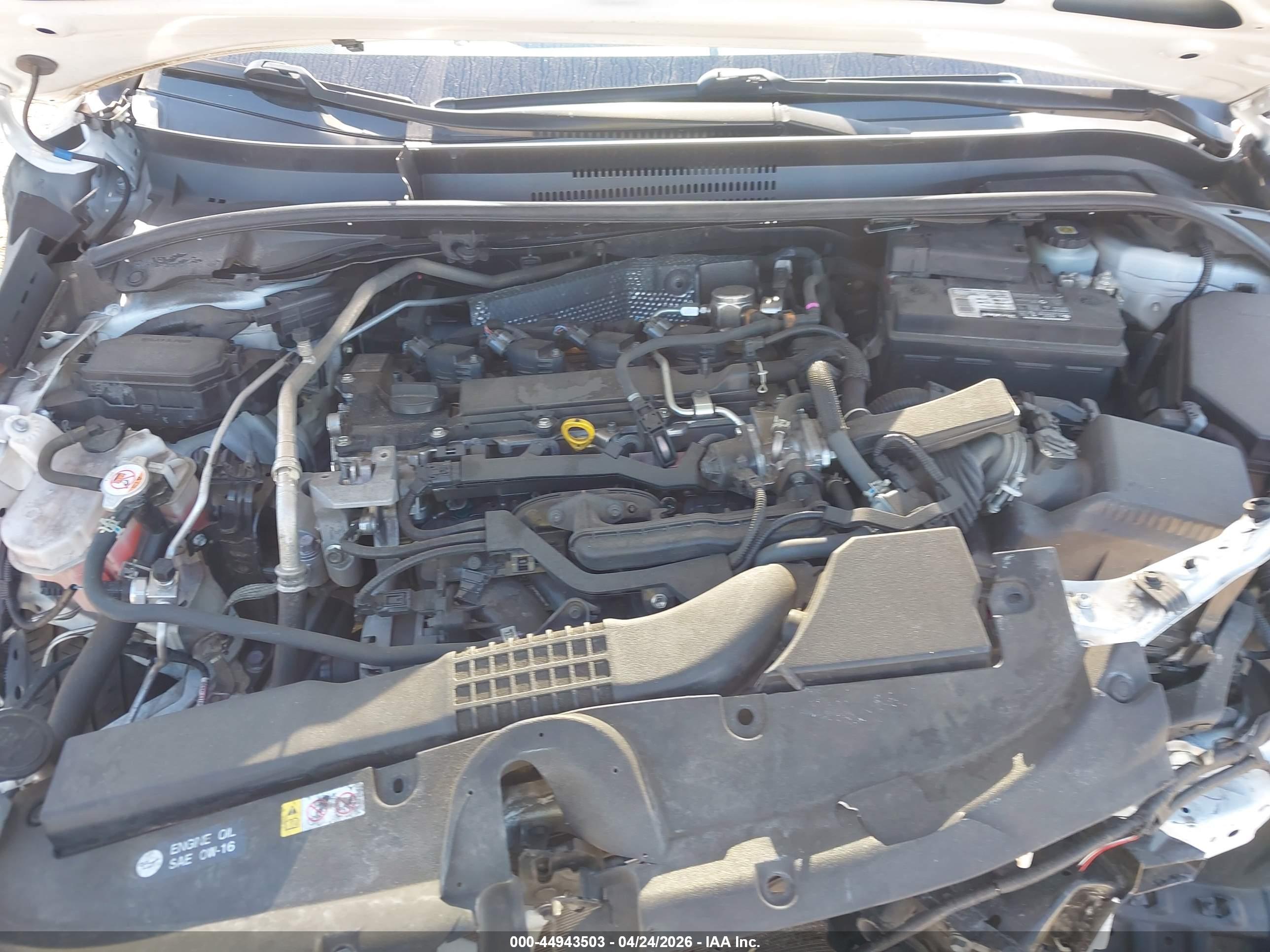 TOYOTA COROLLA image 10