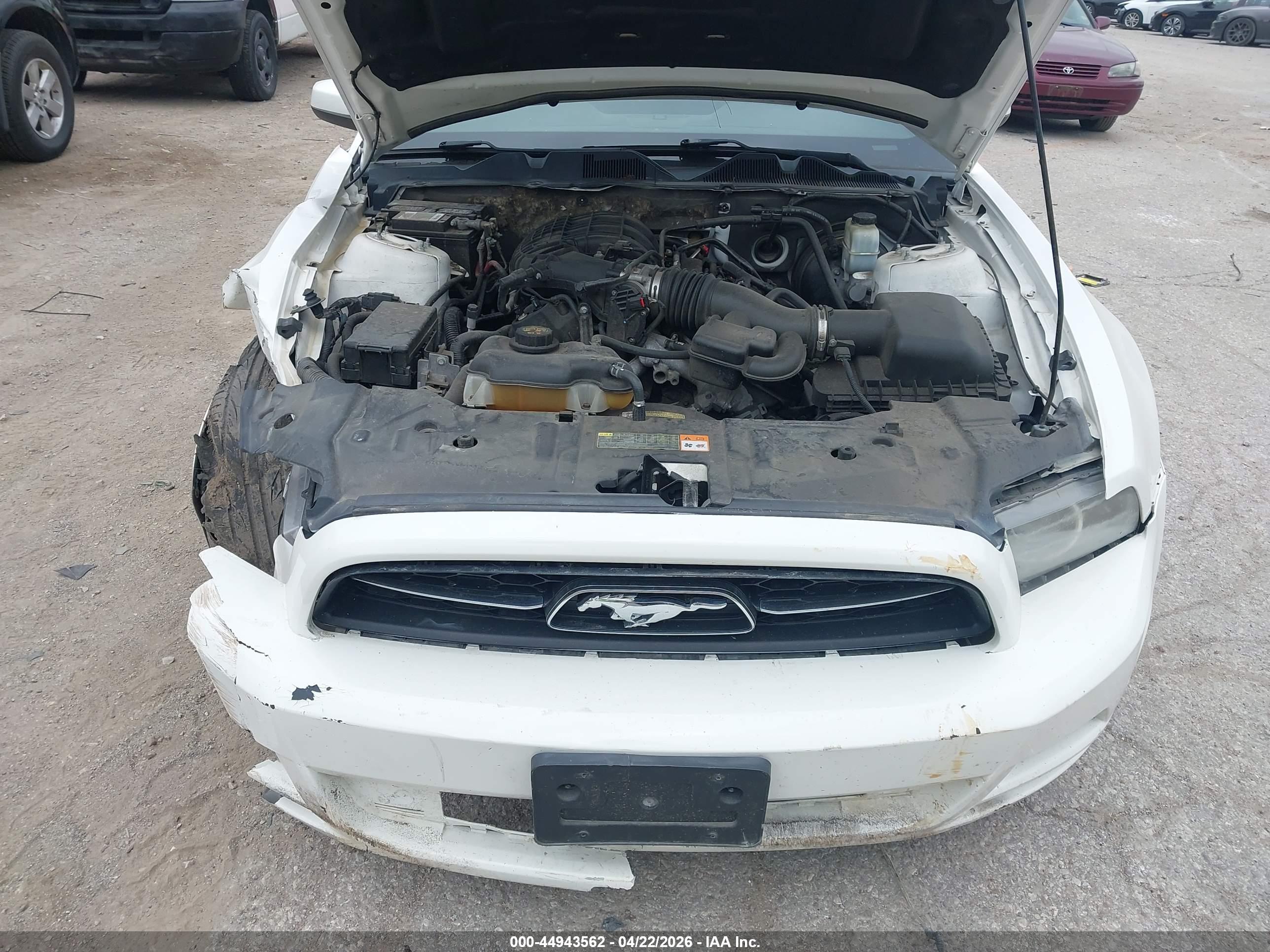 FORD MUSTANG image 10