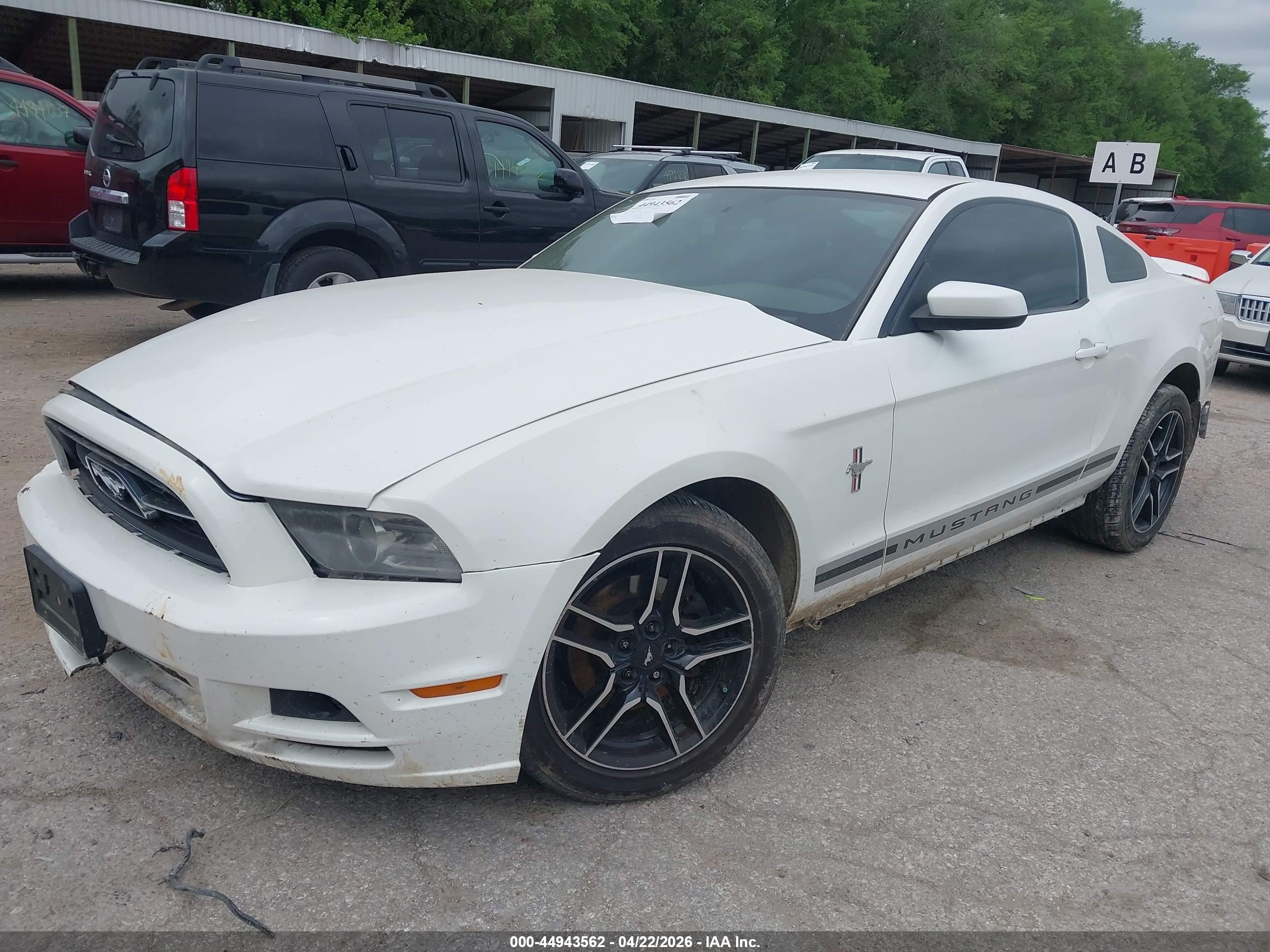 FORD MUSTANG image 2