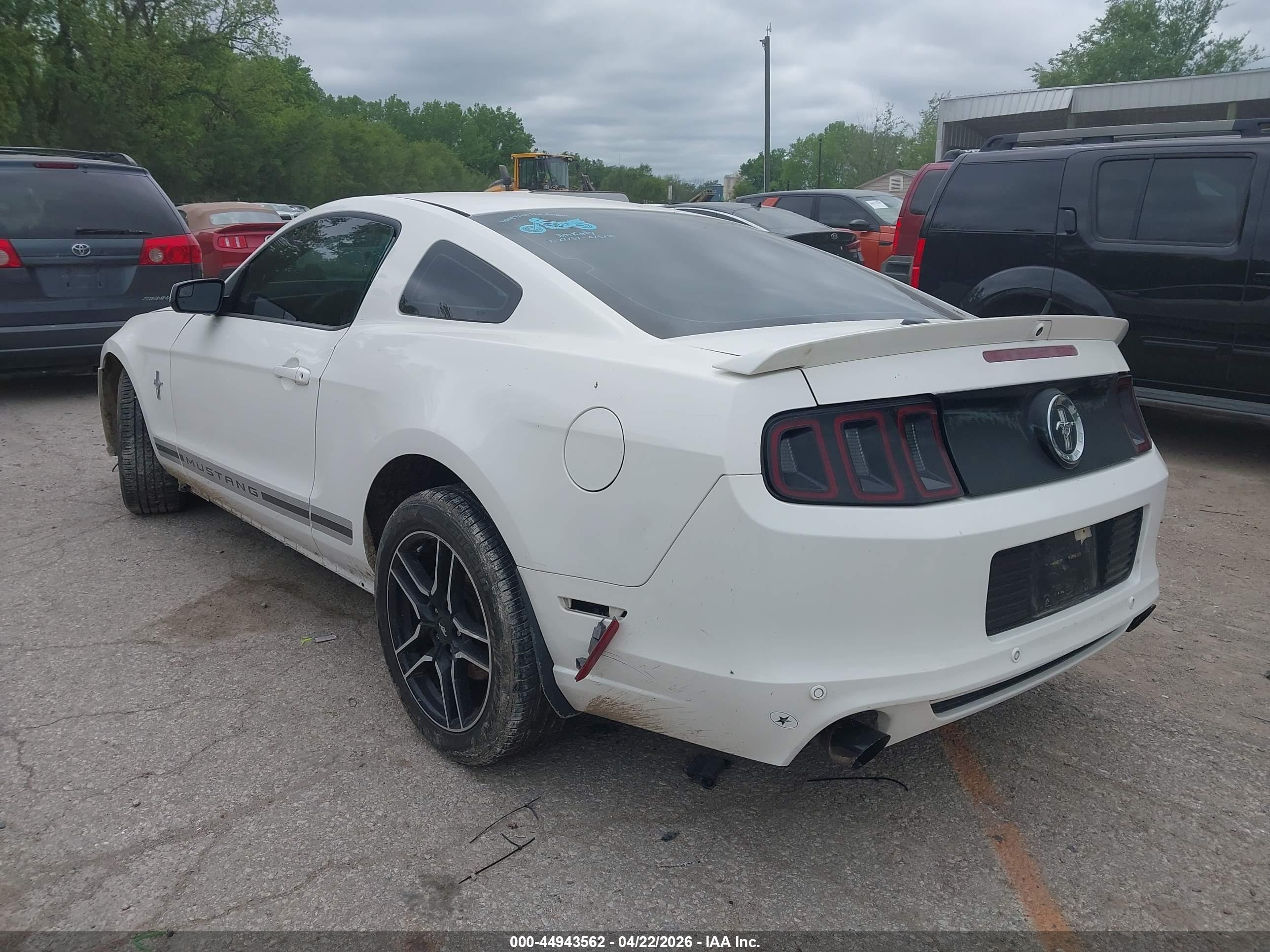 FORD MUSTANG image 3