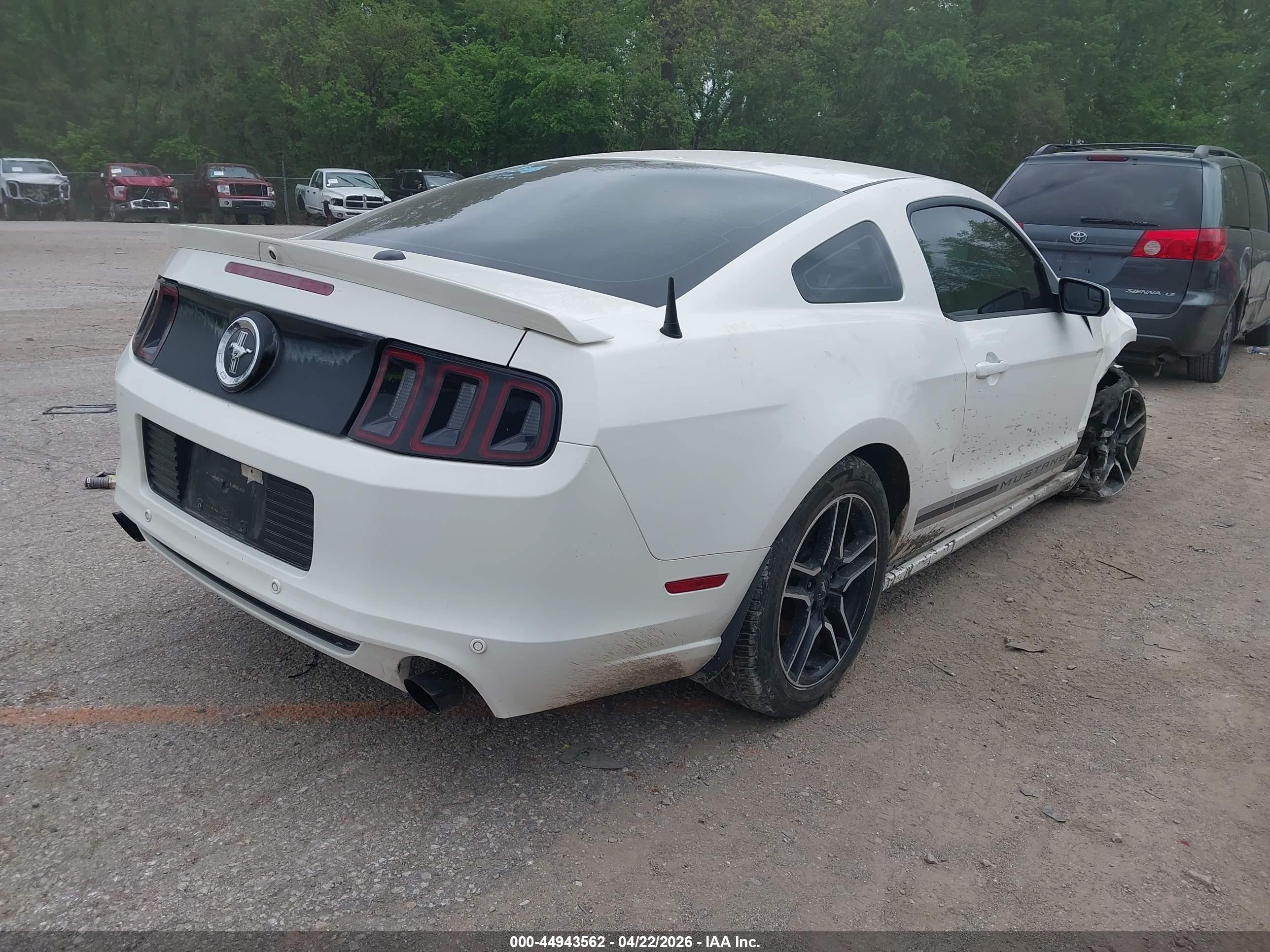 FORD MUSTANG image 4