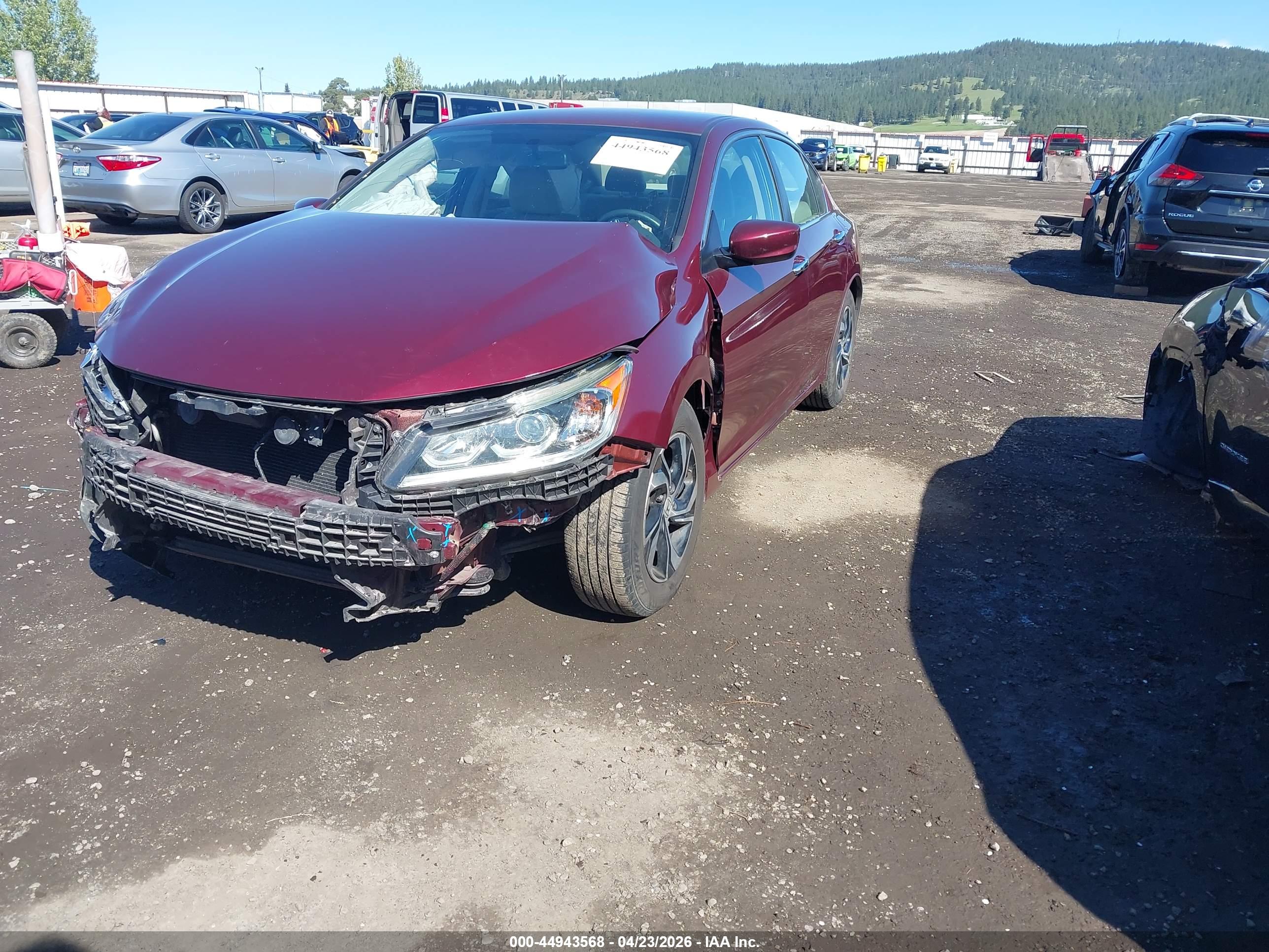 HONDA ACCORD image 2