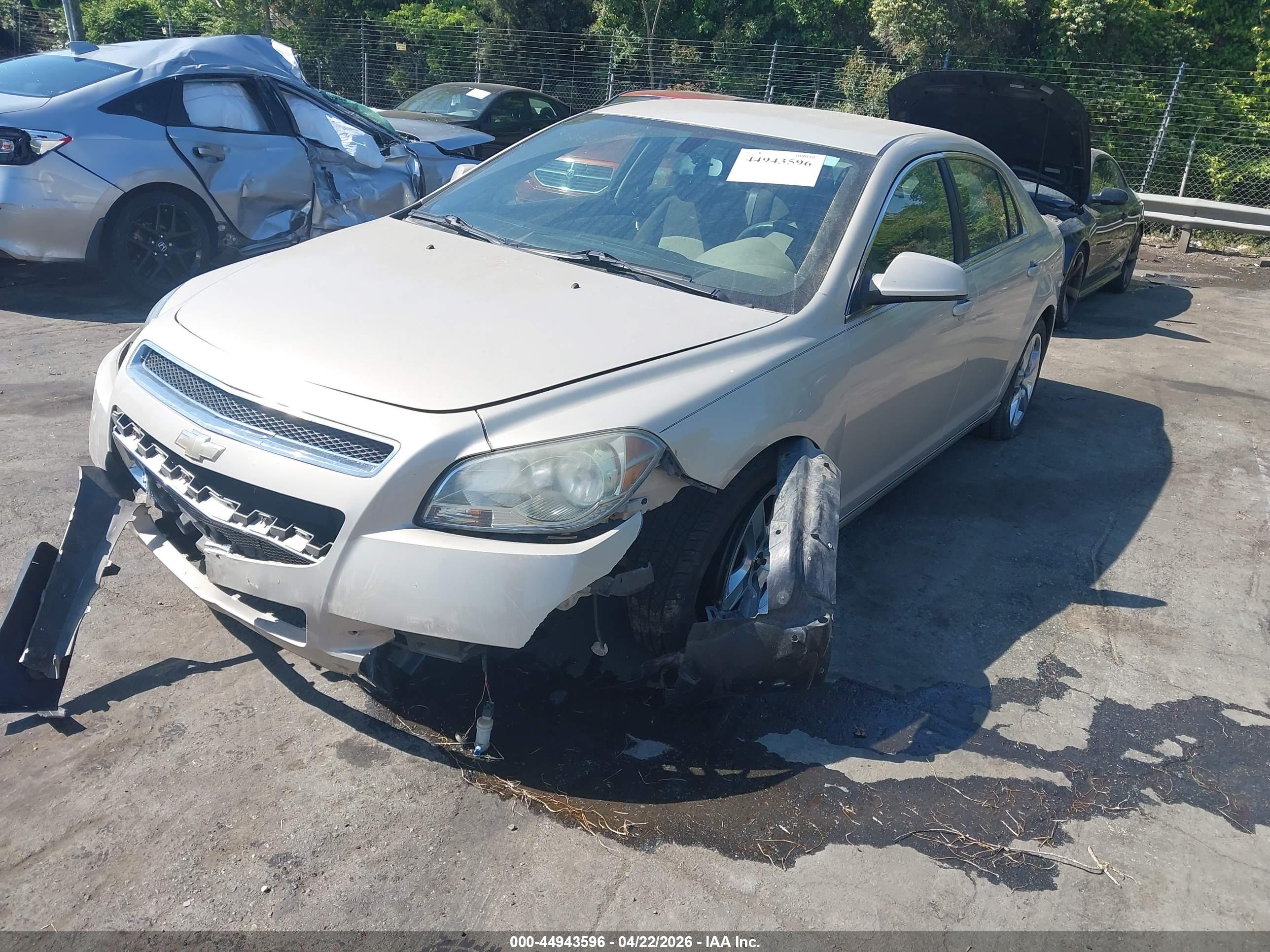 CHEVROLET MALIBU image 2