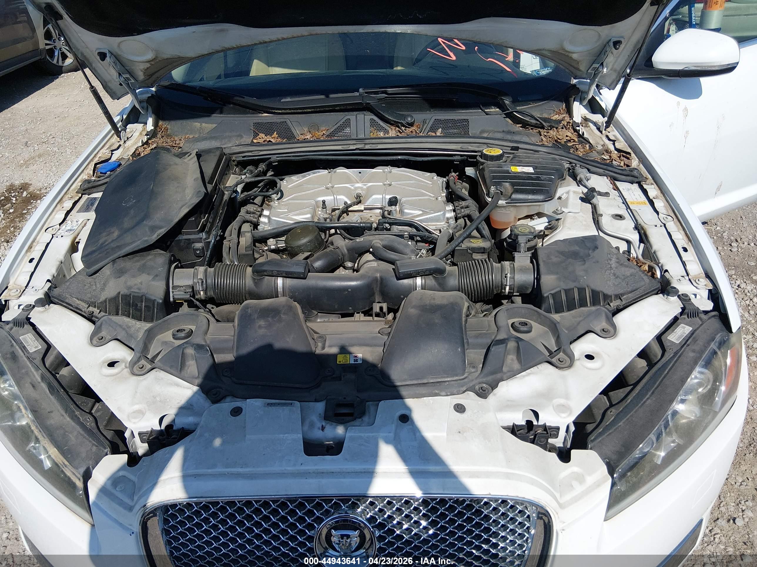 JAGUAR XF image 10