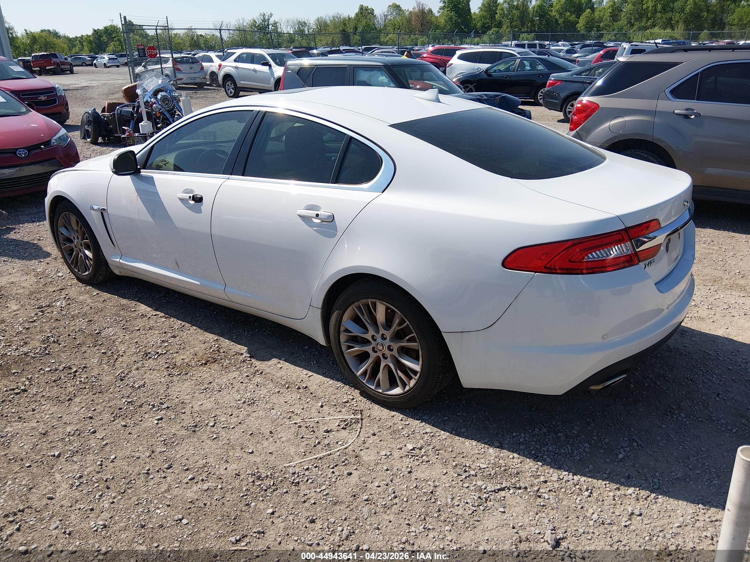 JAGUAR XF image 3