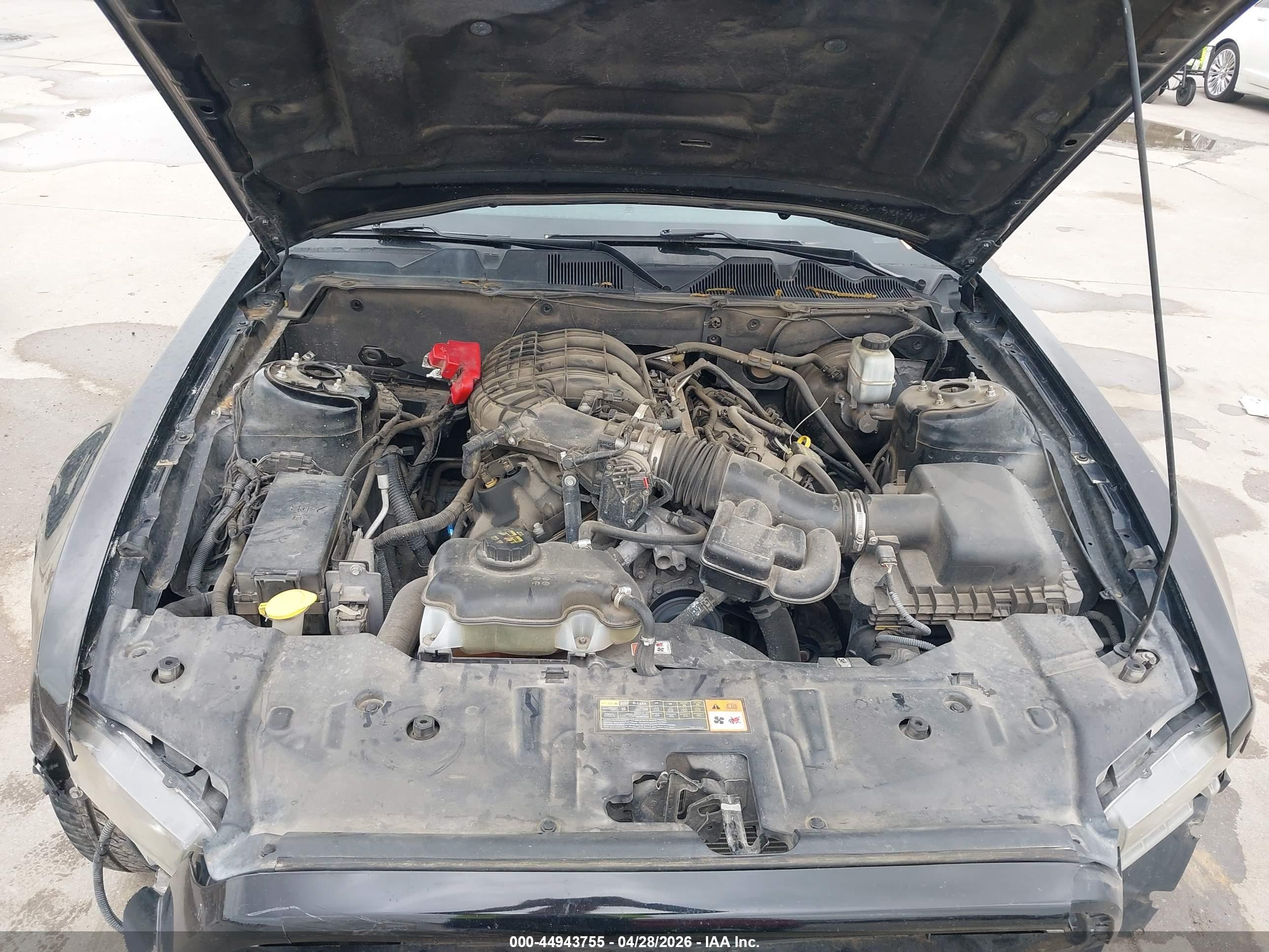 FORD MUSTANG image 10