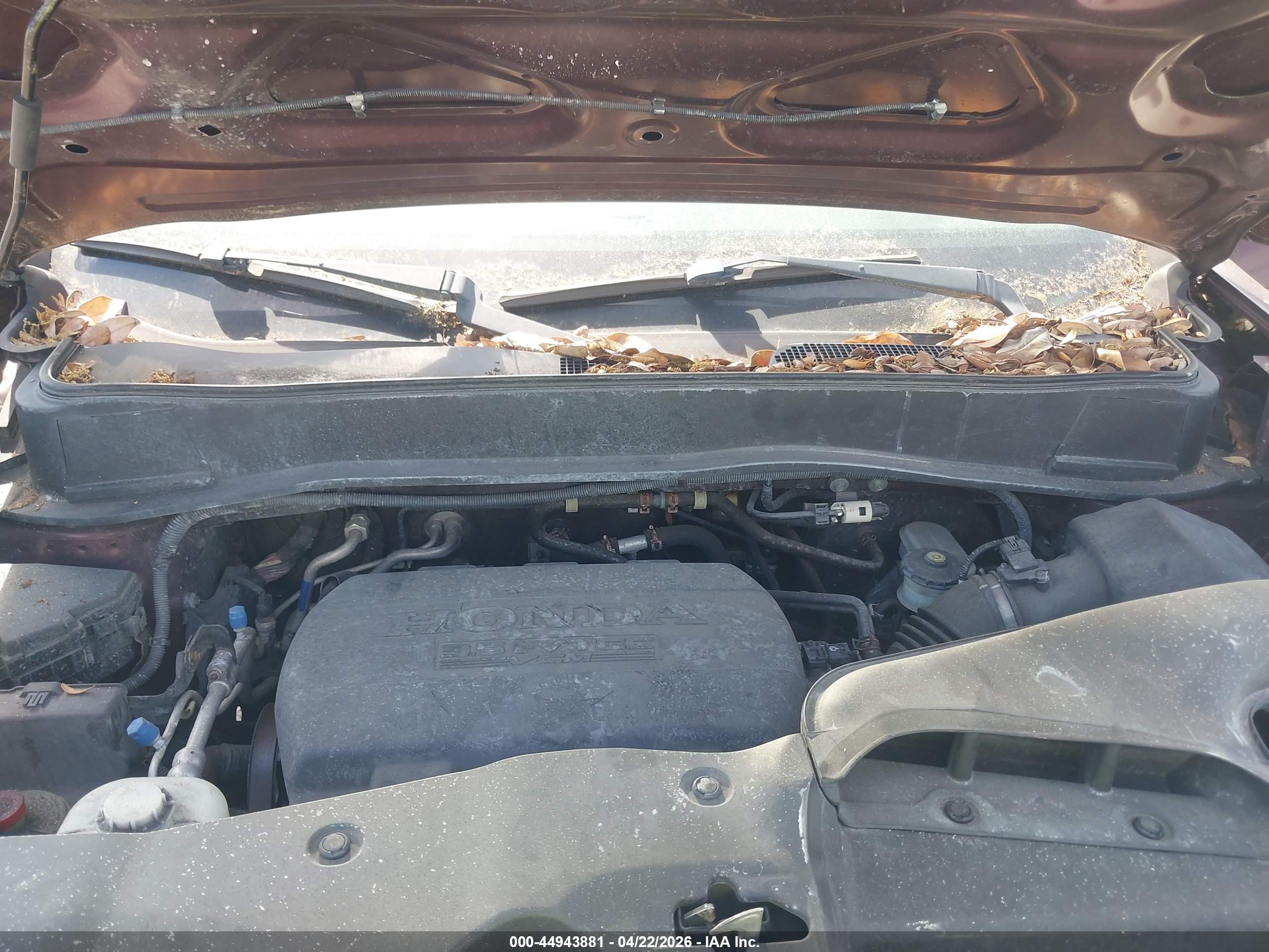 HONDA PILOT image 10