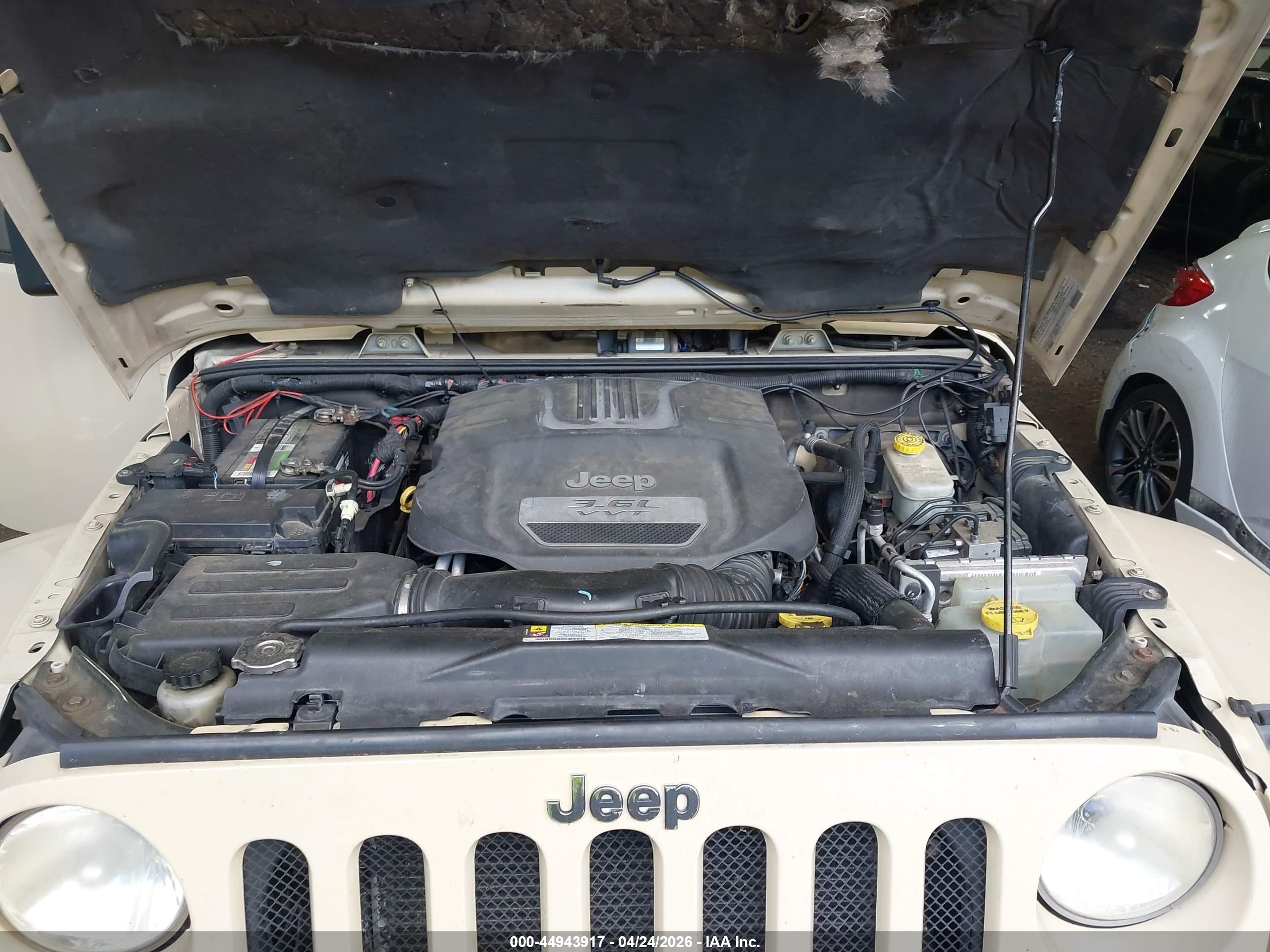 JEEP WRANGLER image 10