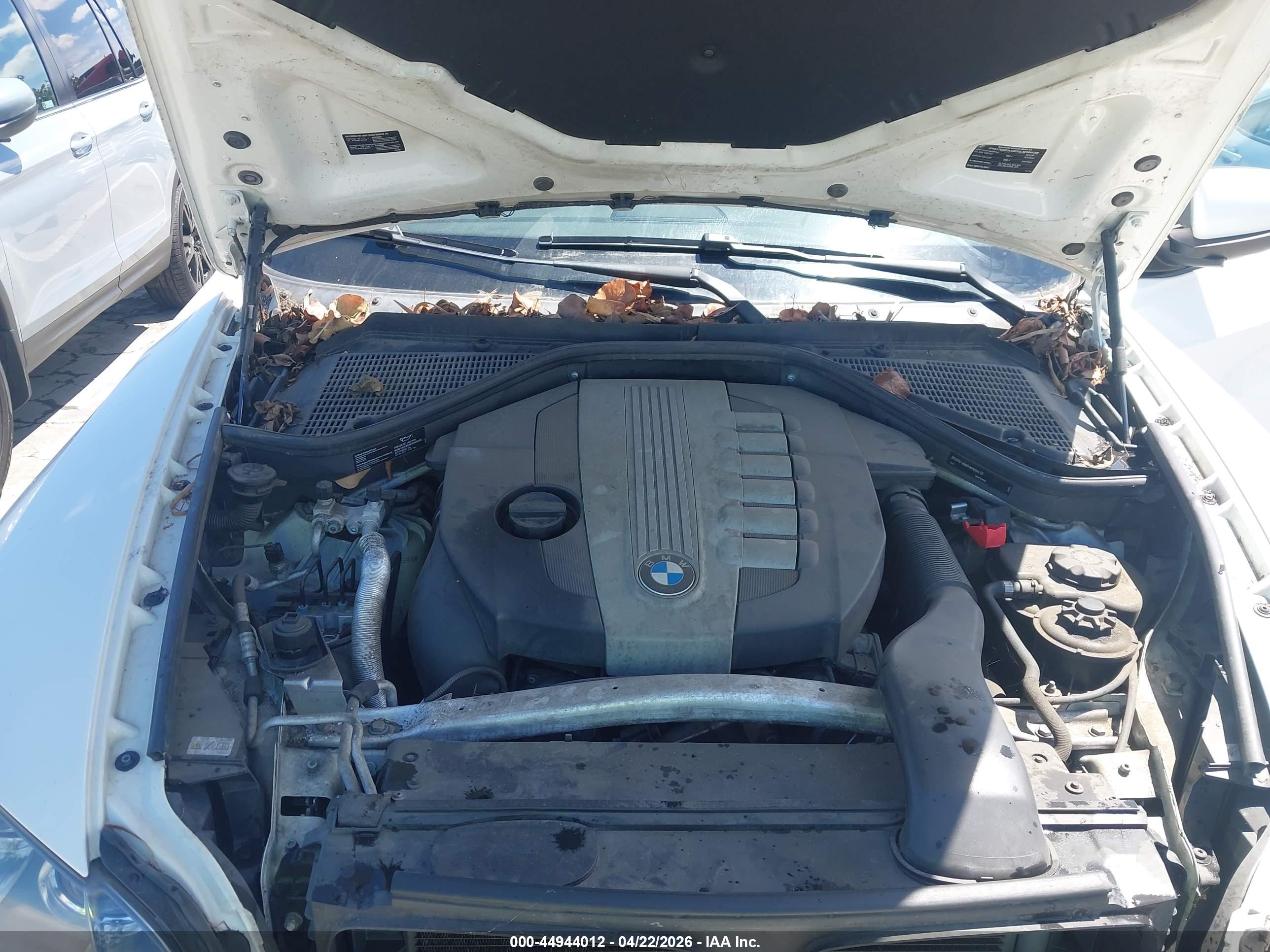 BMW X5 image 10