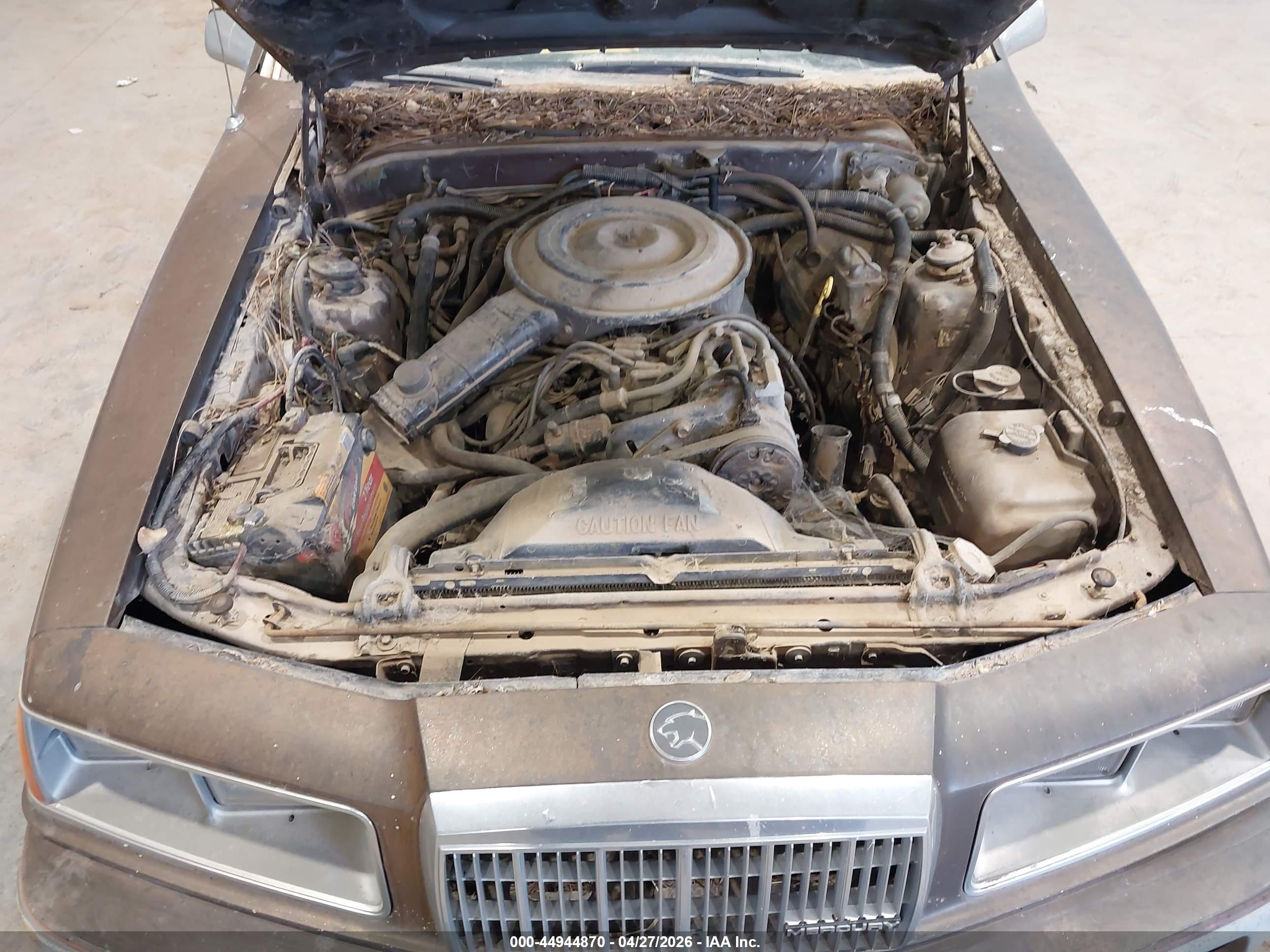 MERCURY COUGAR image 10