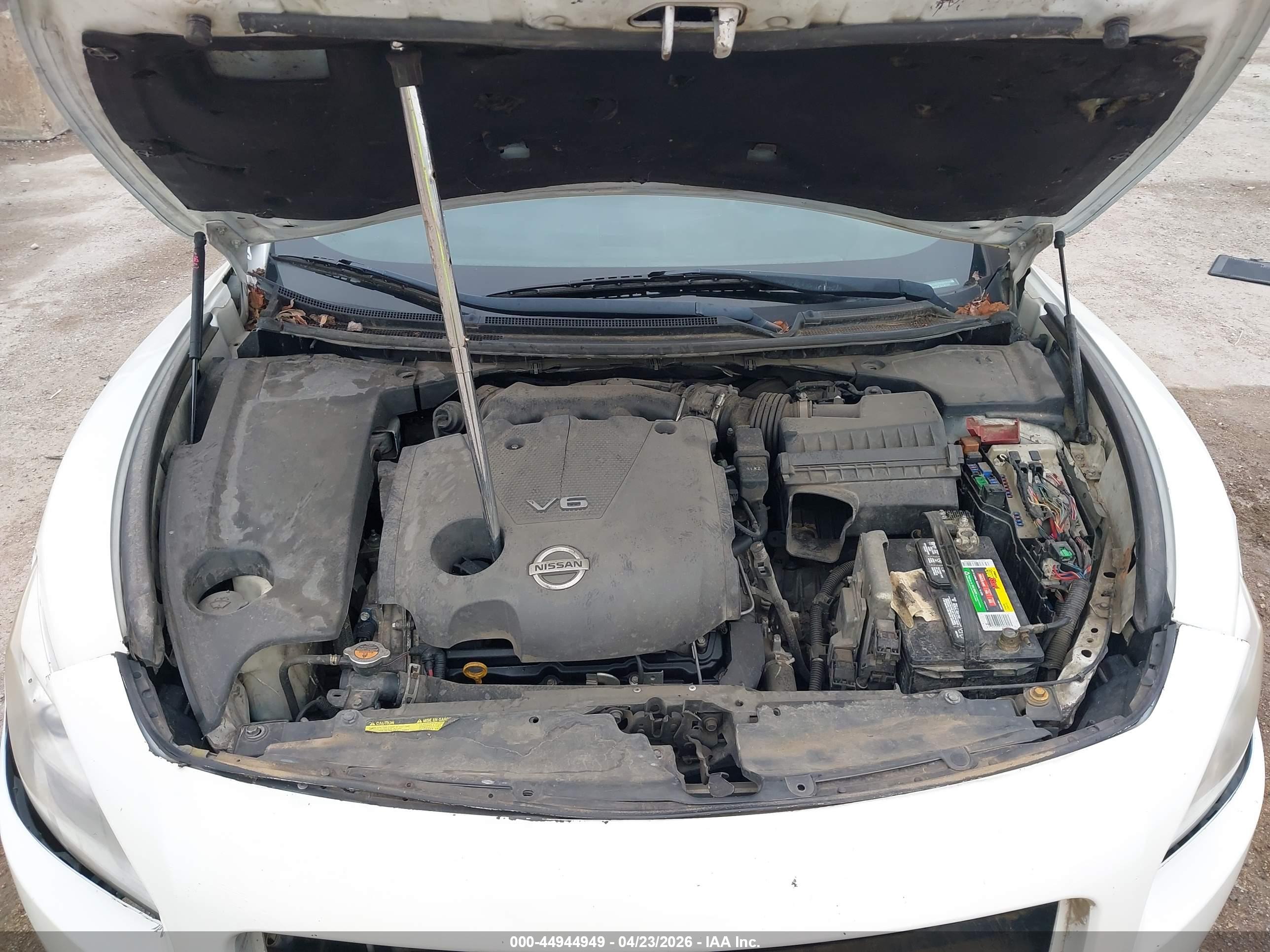 NISSAN MAXIMA image 10