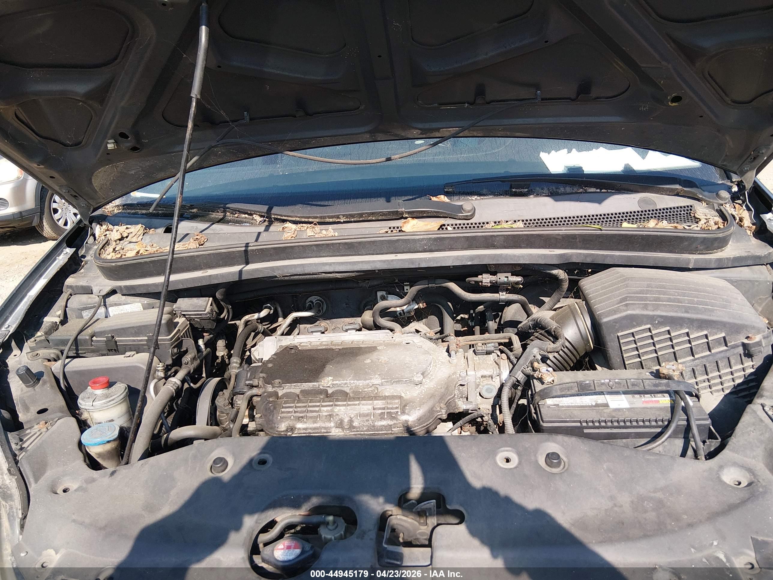 HONDA ODYSSEY image 10