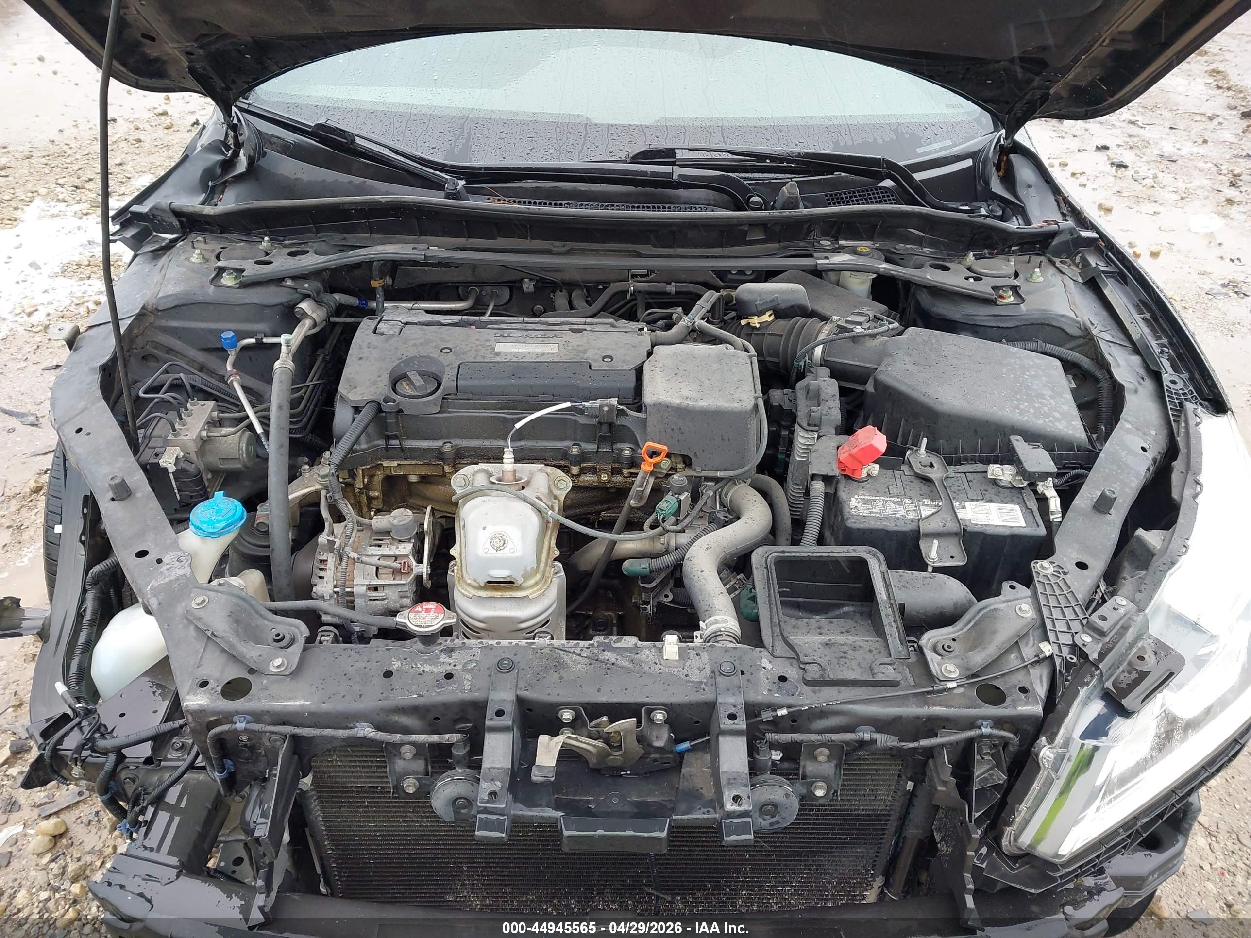 HONDA ACCORD image 10