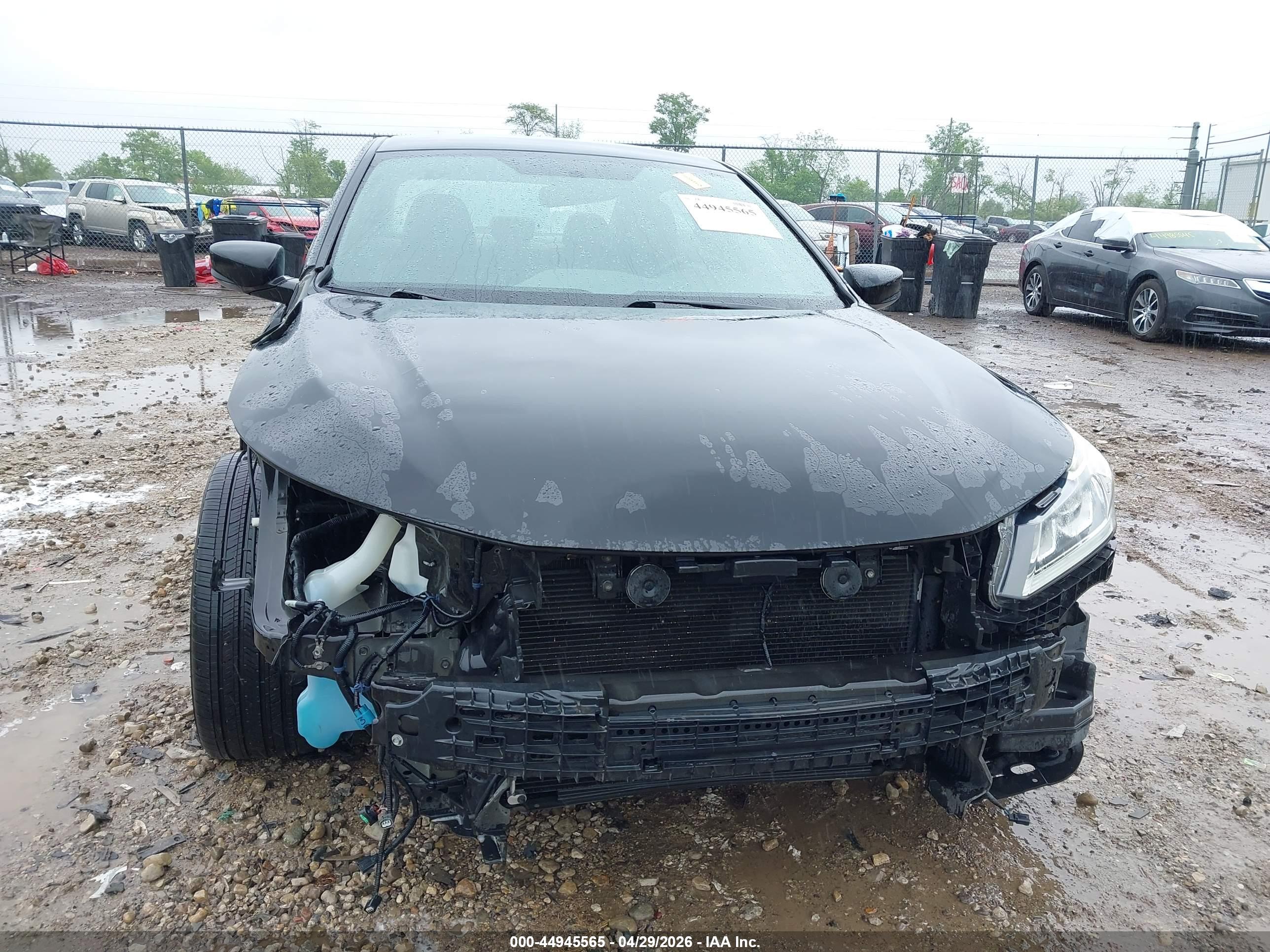 HONDA ACCORD image 6