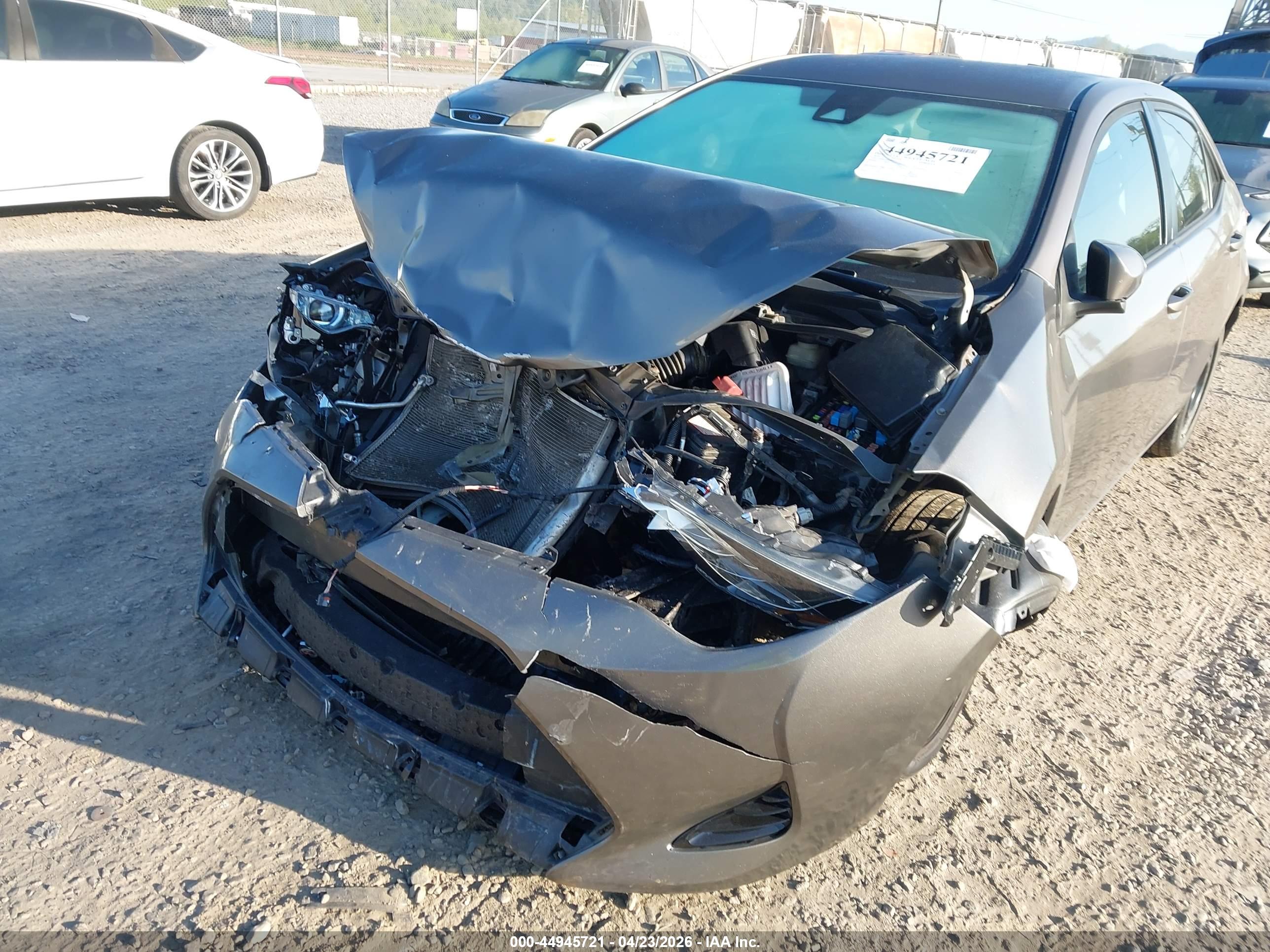 TOYOTA COROLLA image 6