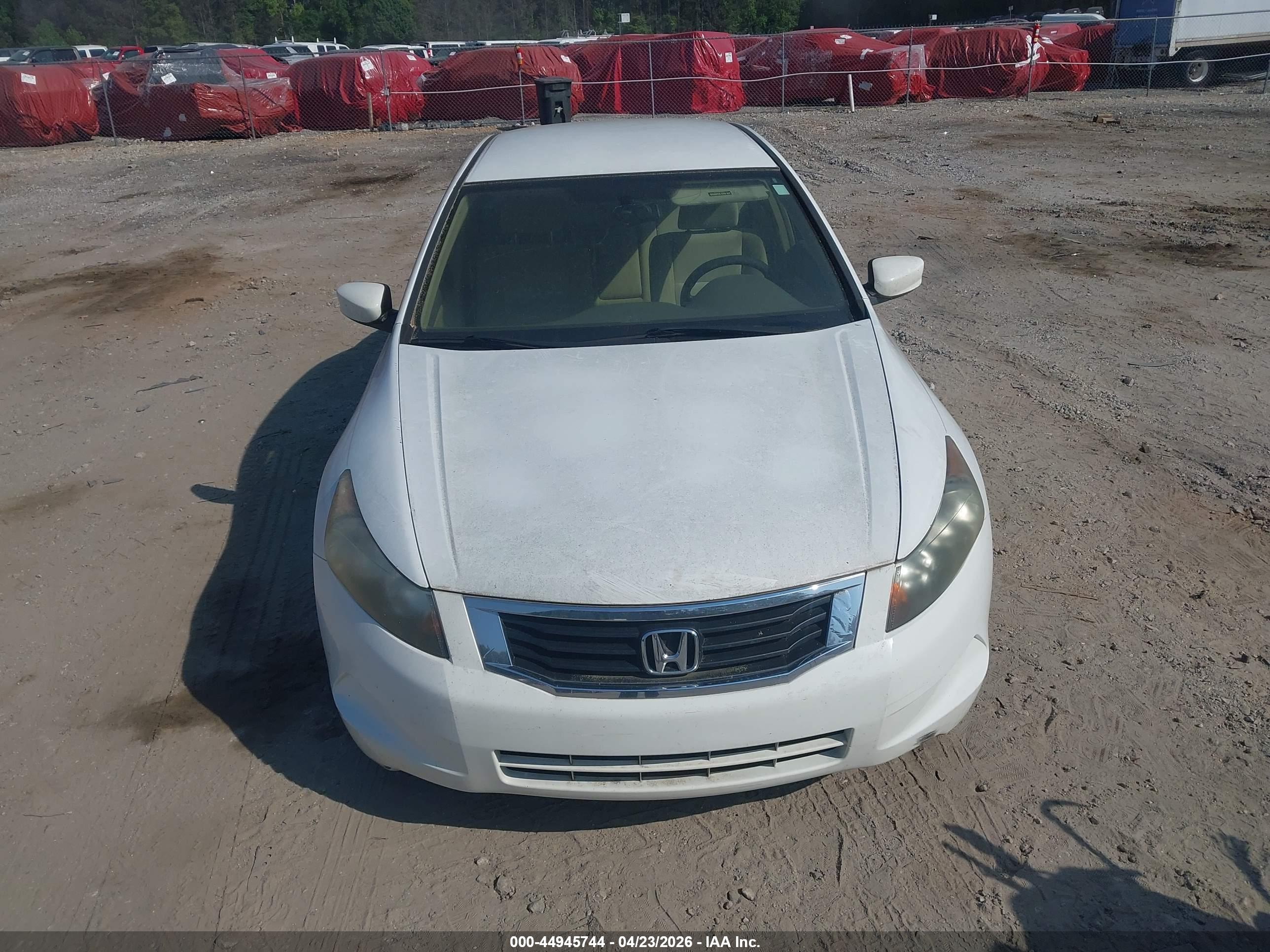 HONDA ACCORD image 6