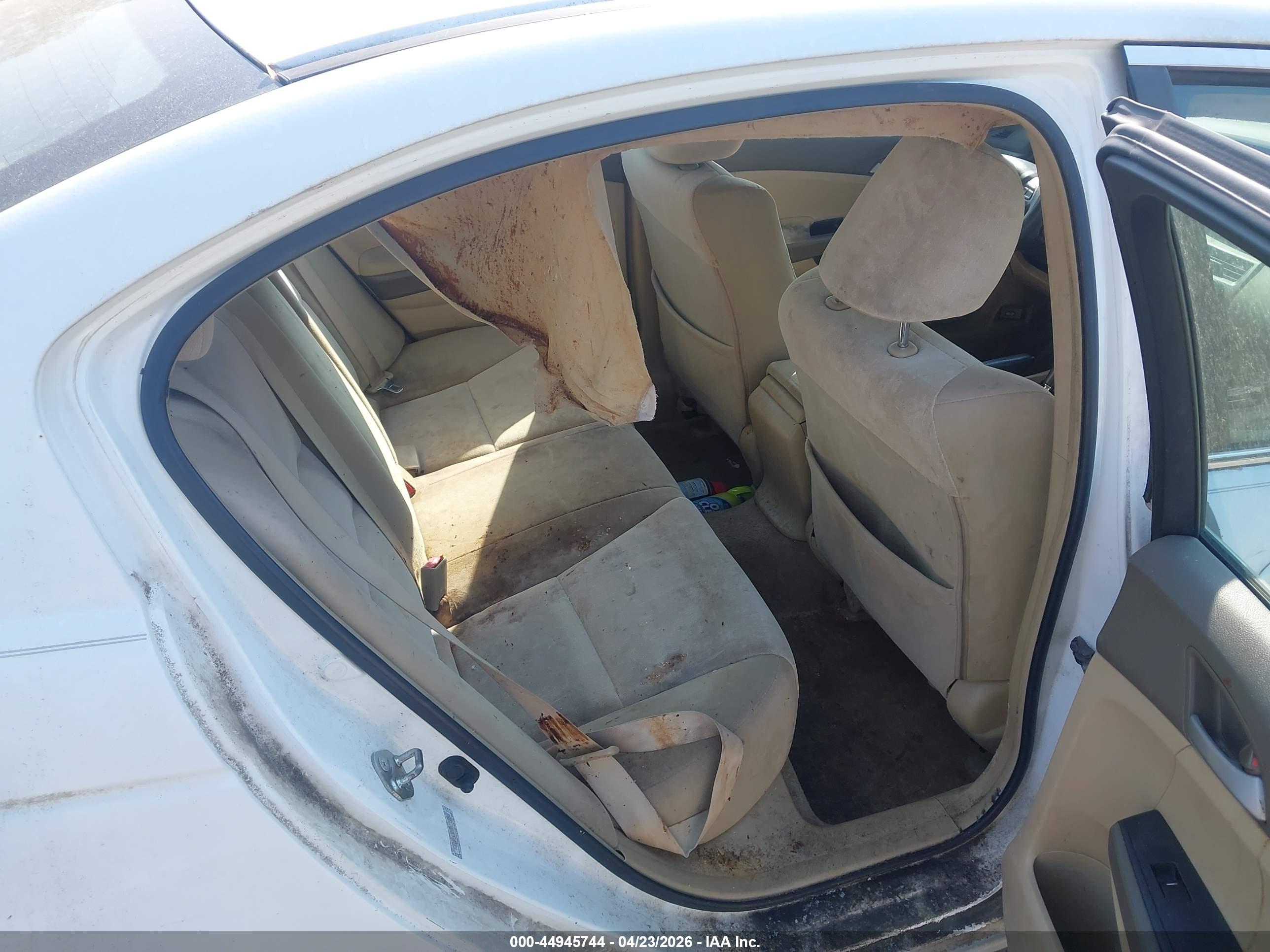 HONDA ACCORD image 8