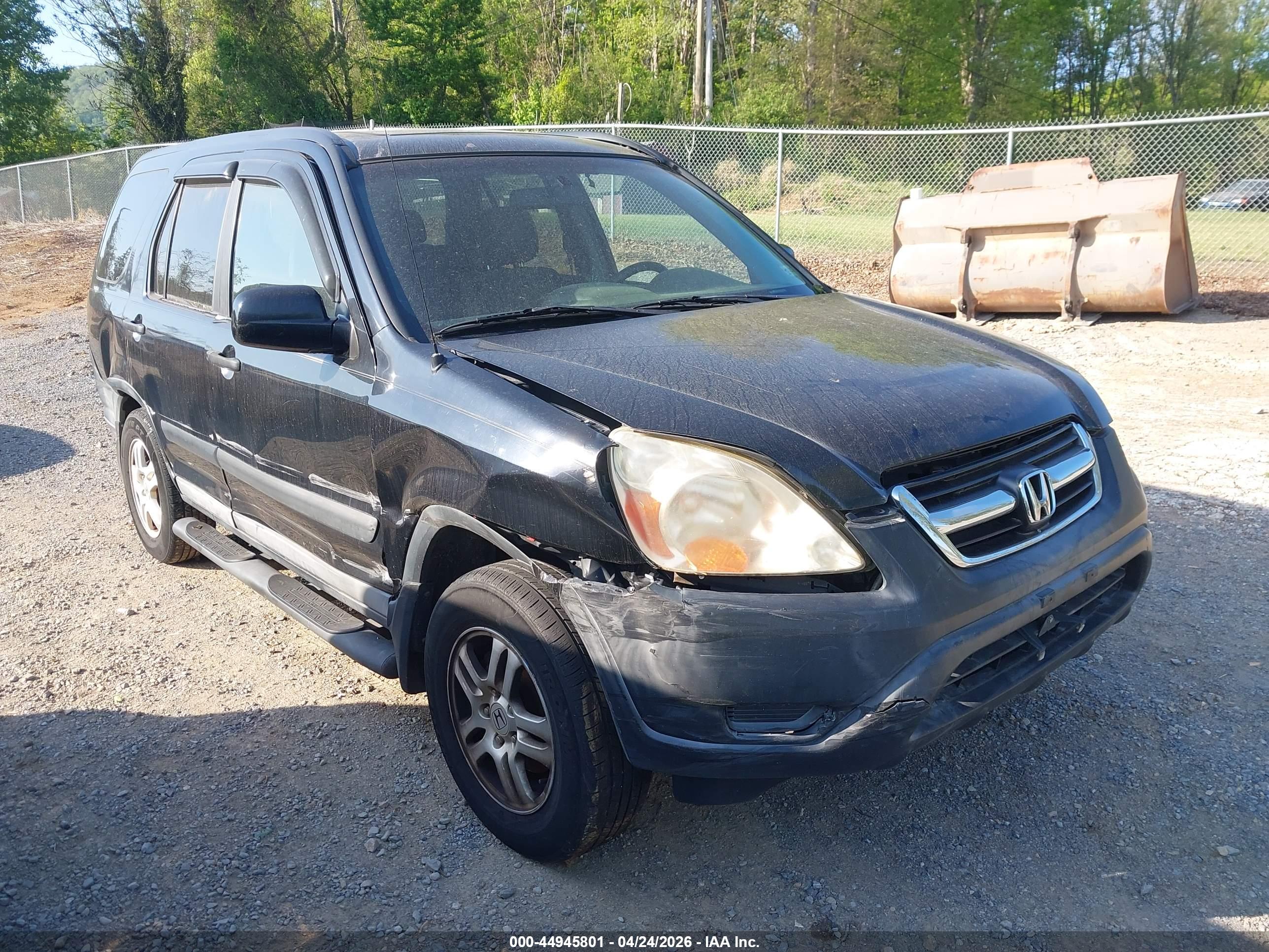 HONDA CR-V image 6