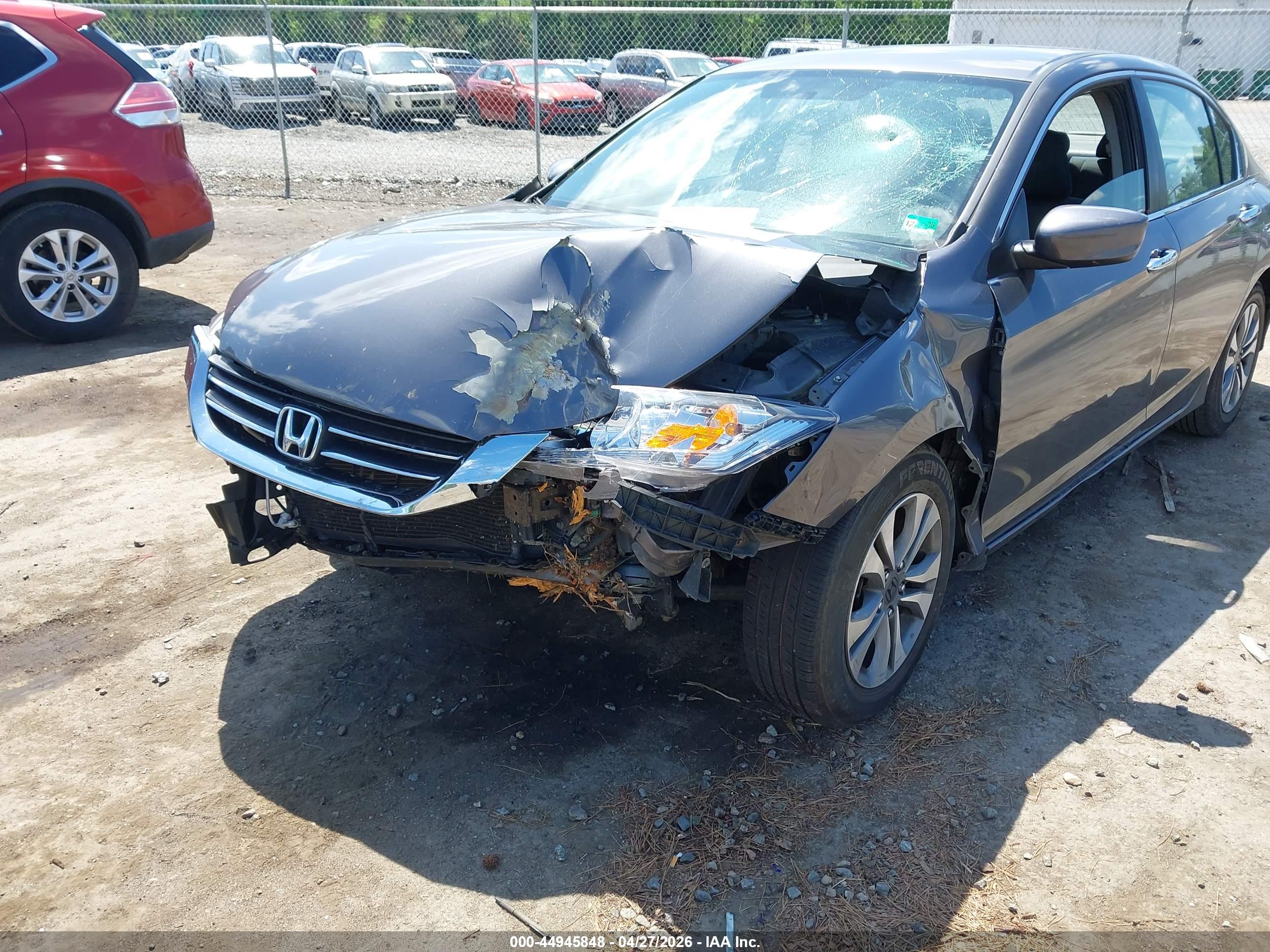 HONDA ACCORD image 6