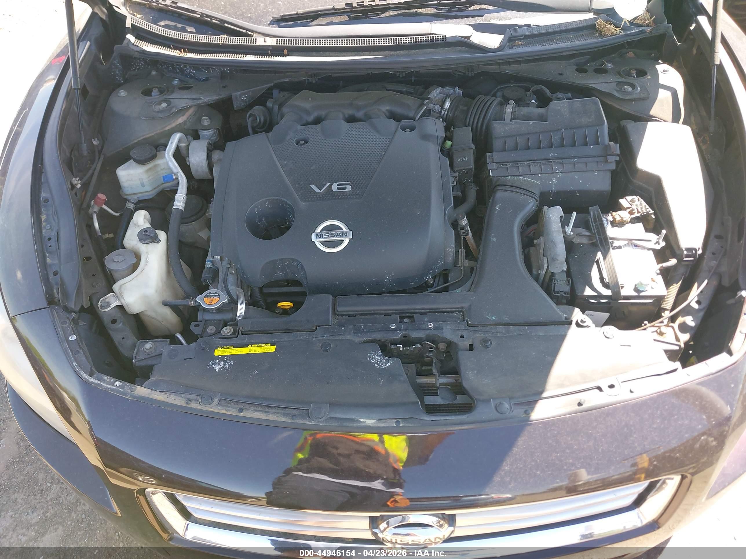 NISSAN MAXIMA image 10