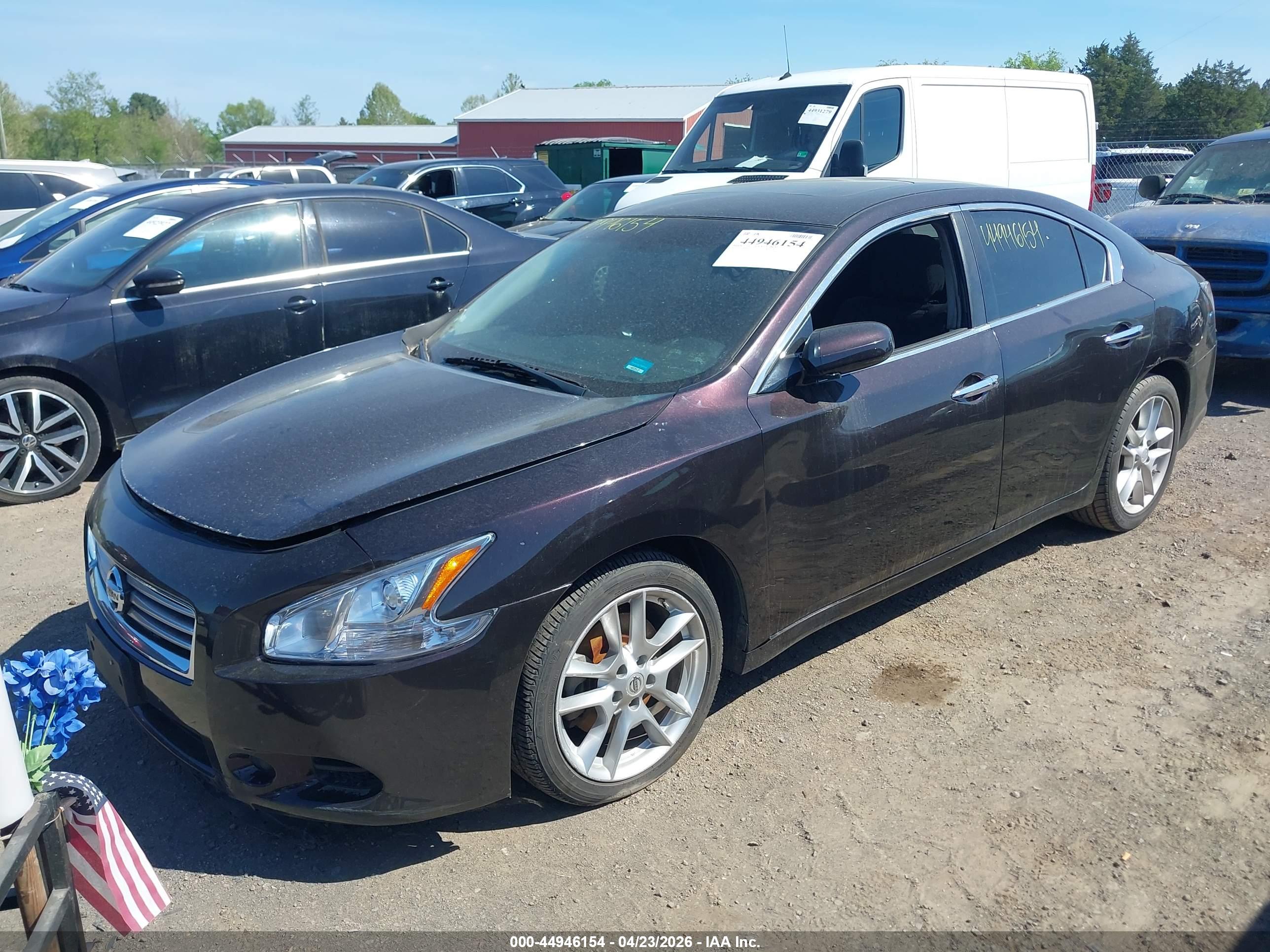 NISSAN MAXIMA image 2