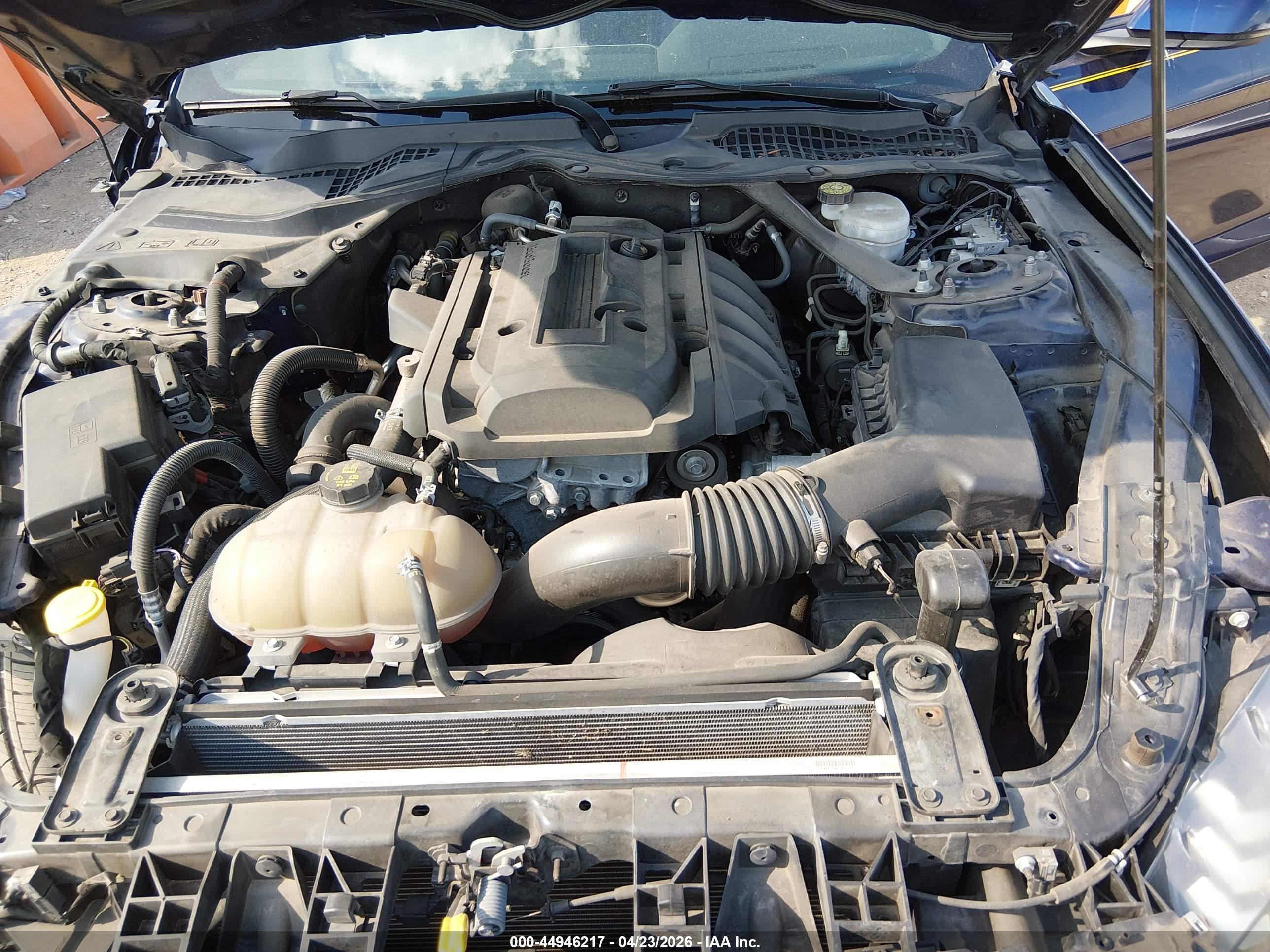 FORD MUSTANG image 10