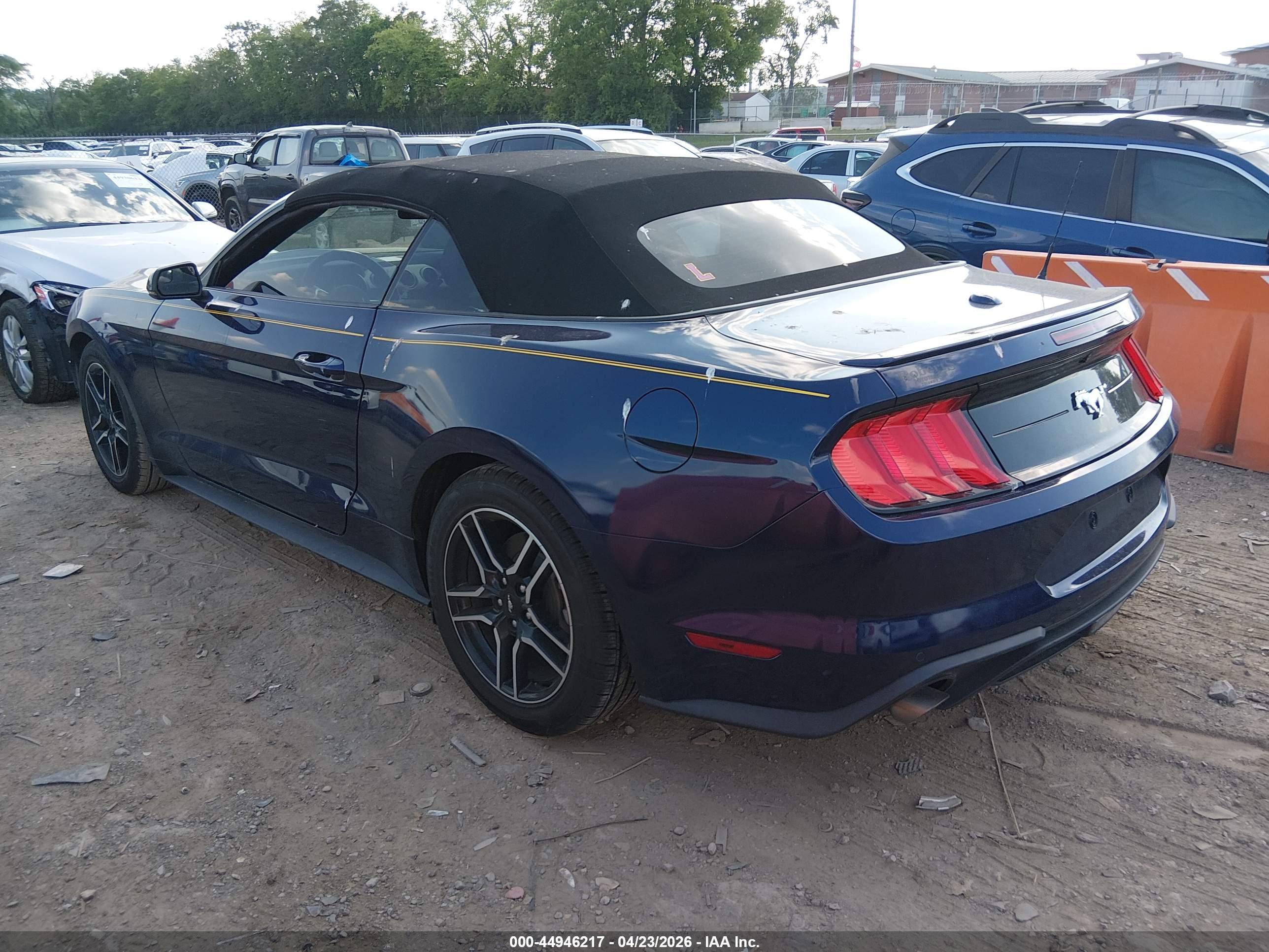 FORD MUSTANG image 3