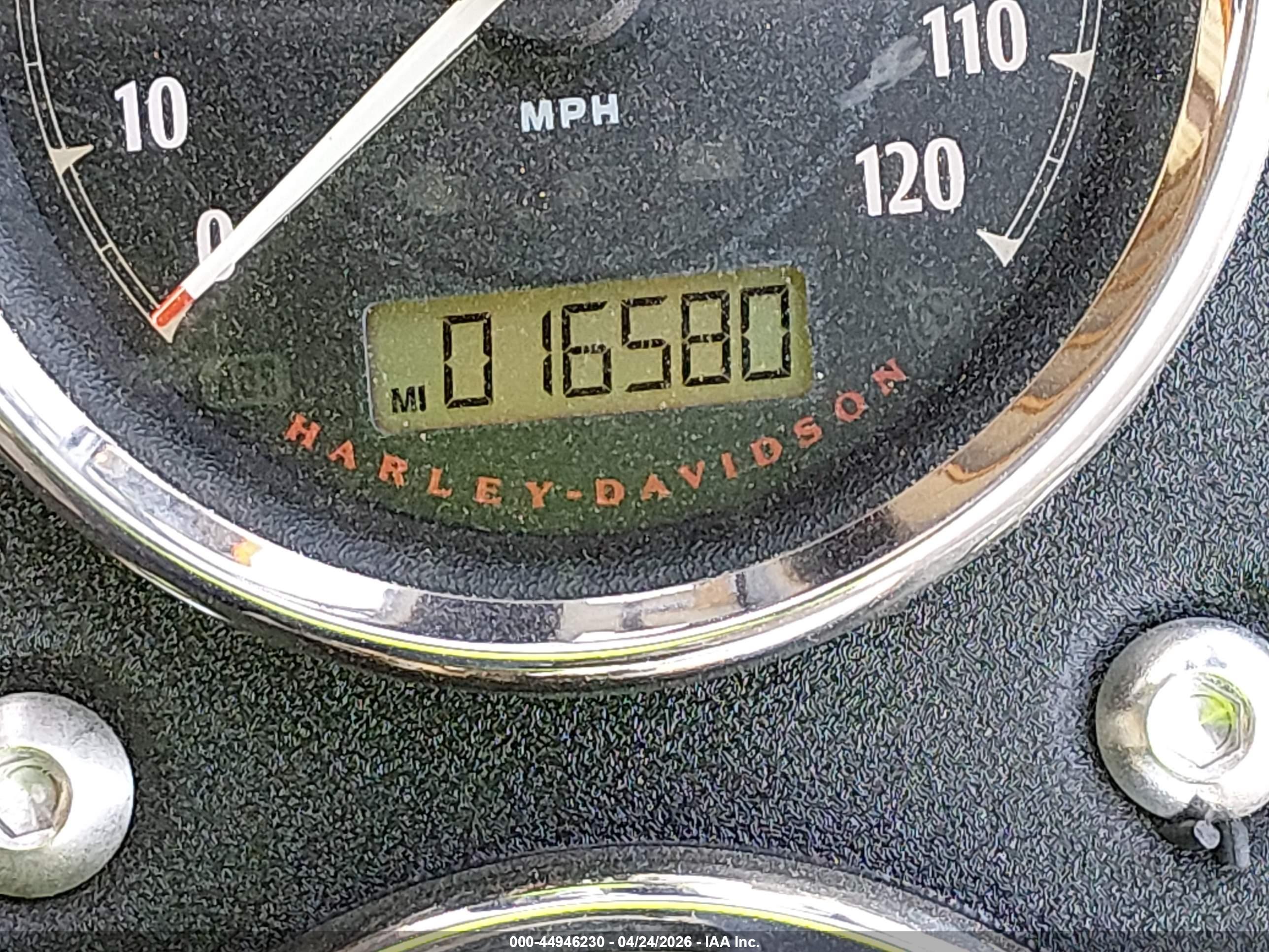 HARLEY-DAVIDSON FXDL image 7