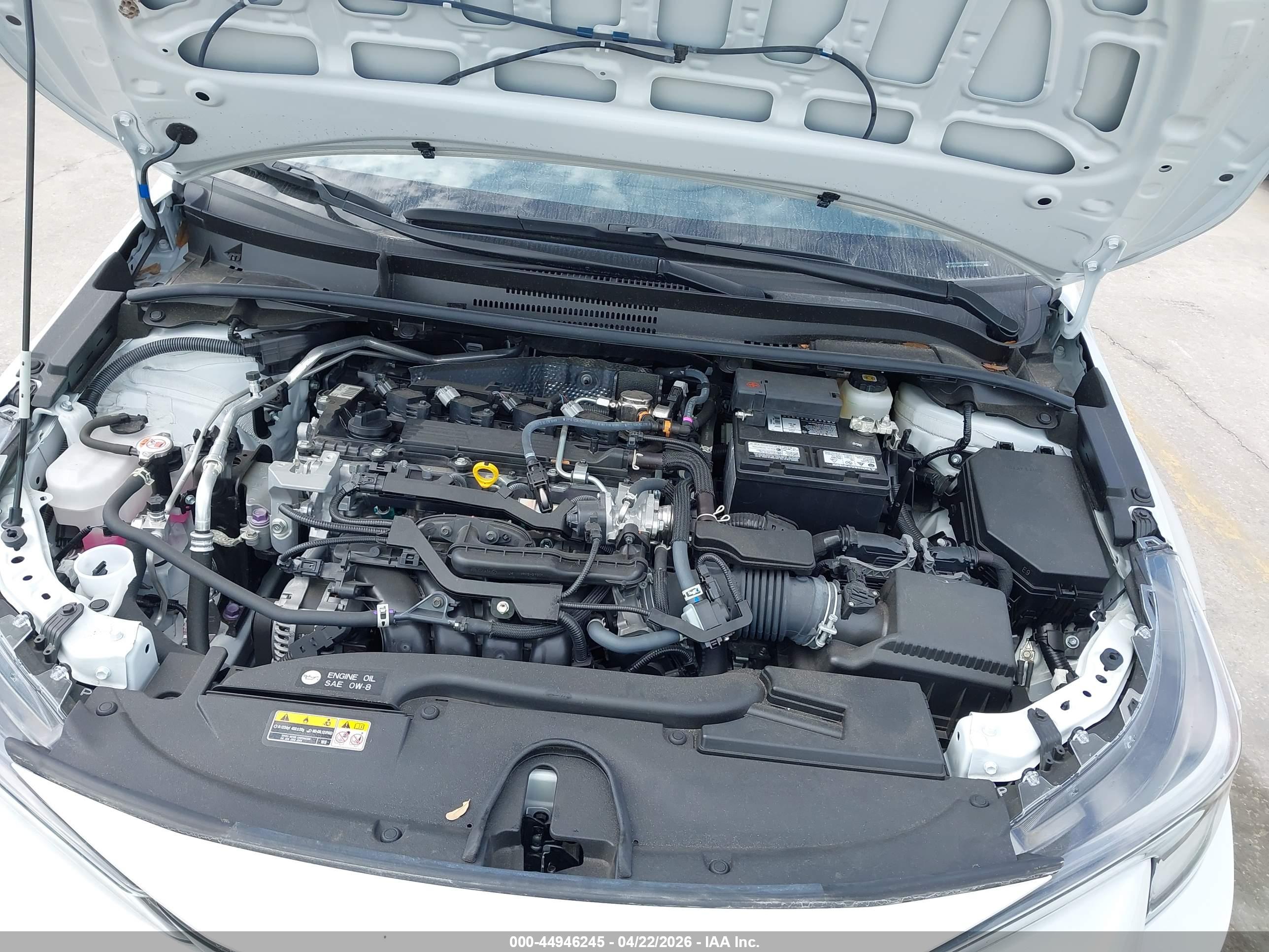 TOYOTA COROLLA image 10