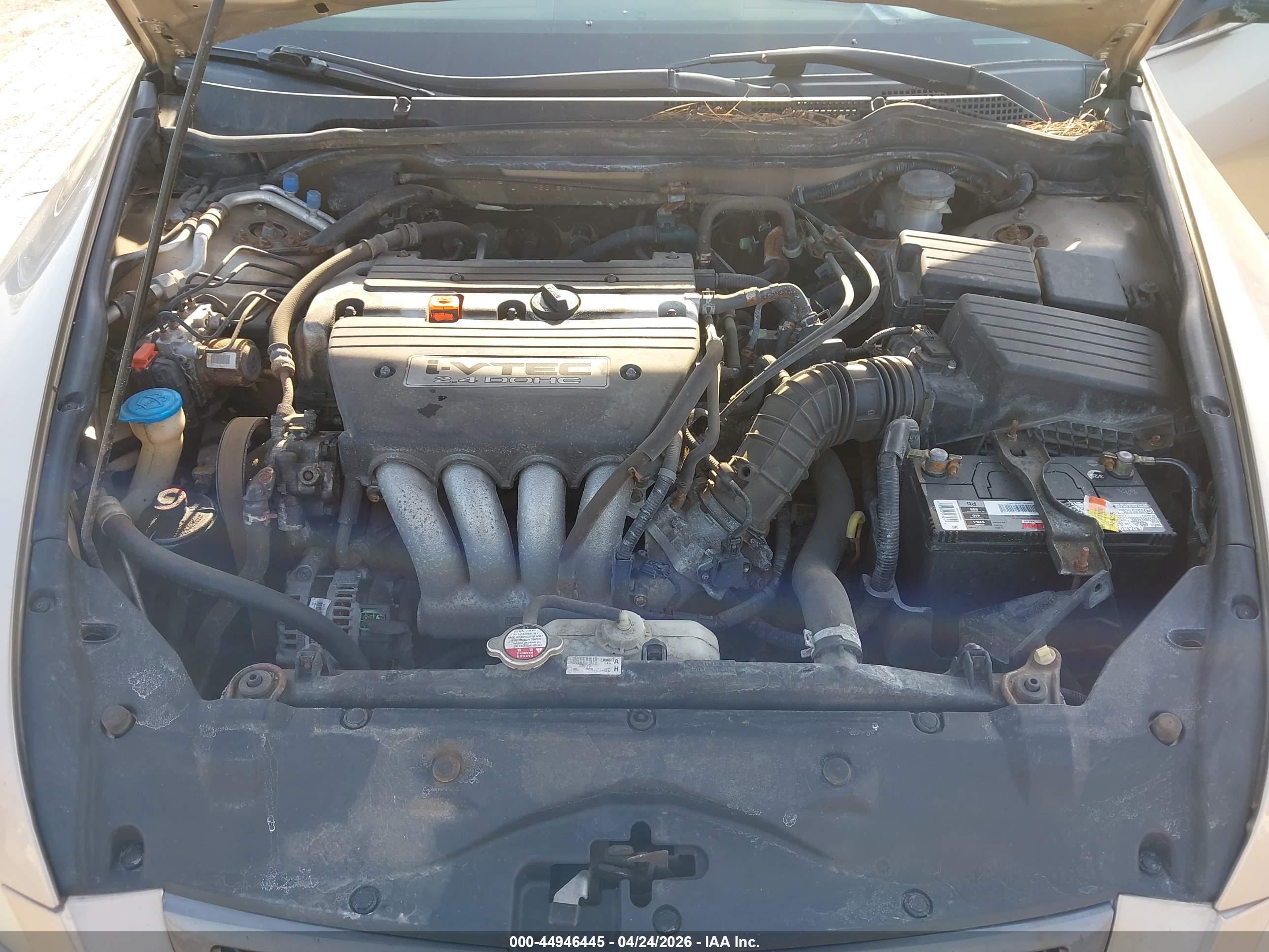 HONDA ACCORD image 10