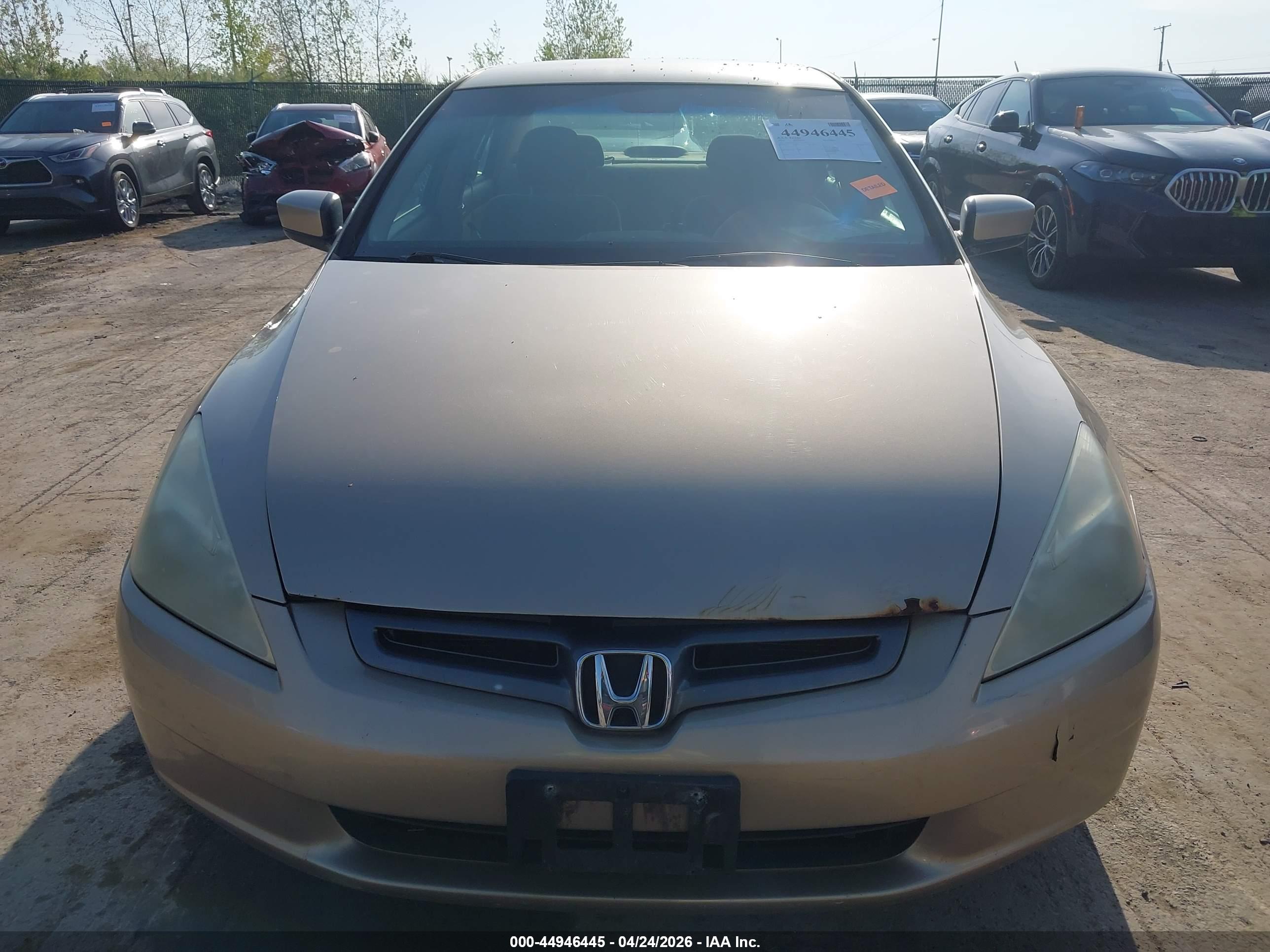 HONDA ACCORD image 6