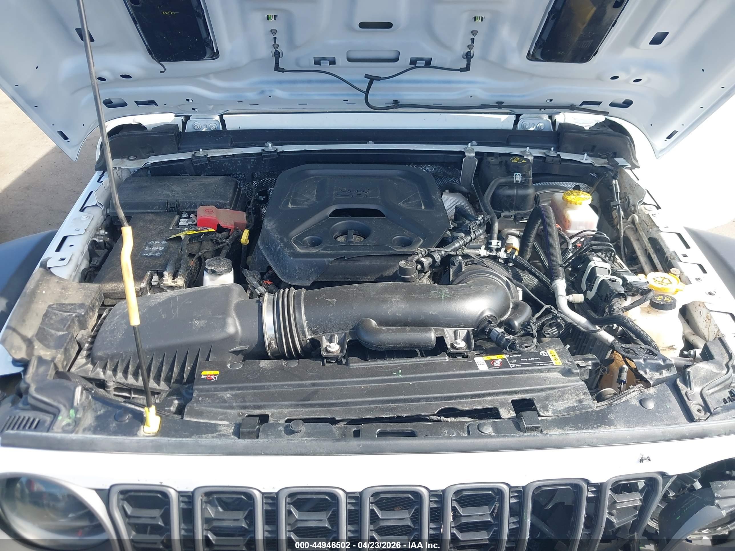 JEEP WRANGLER image 10