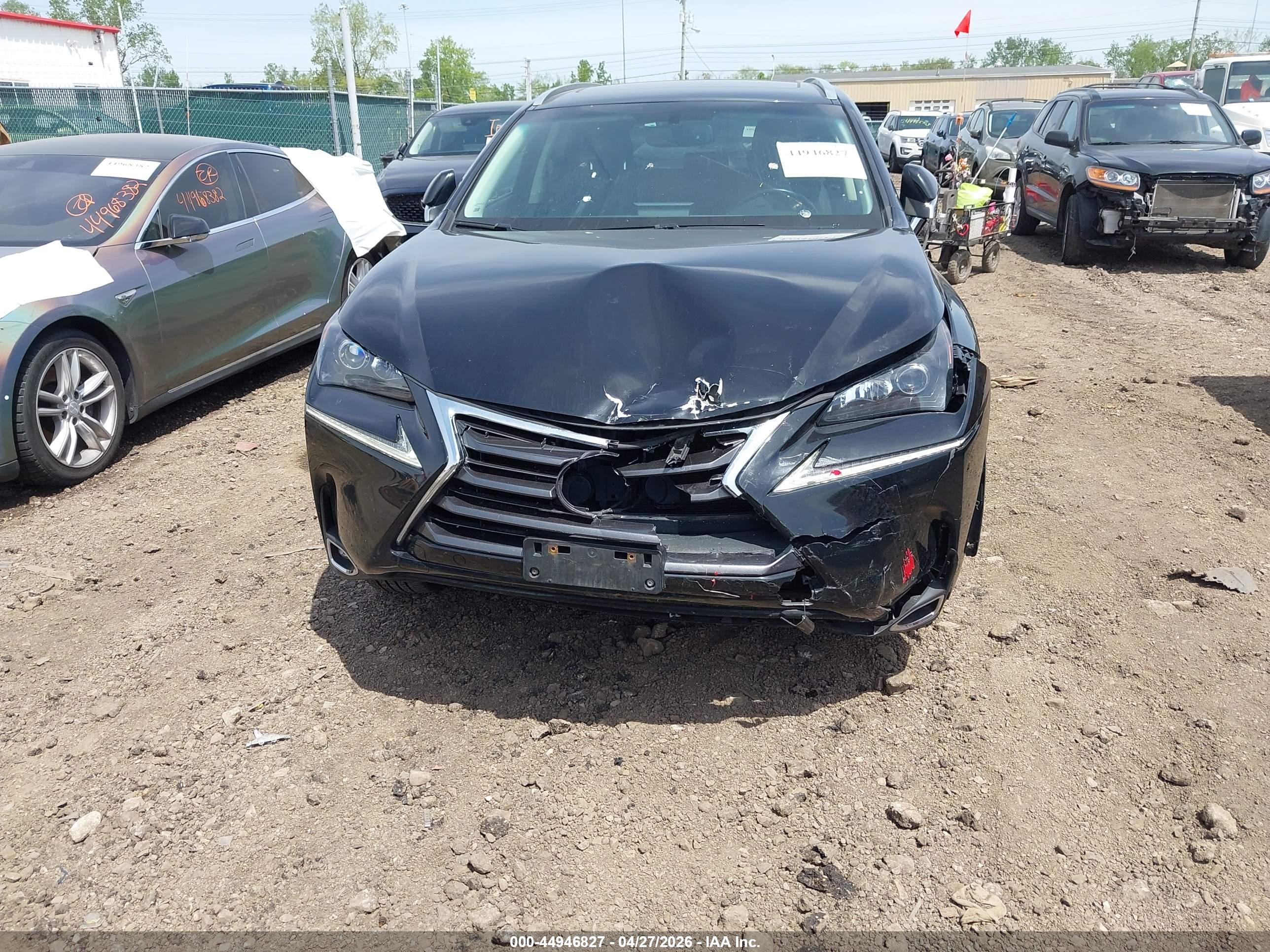 LEXUS NX image 6