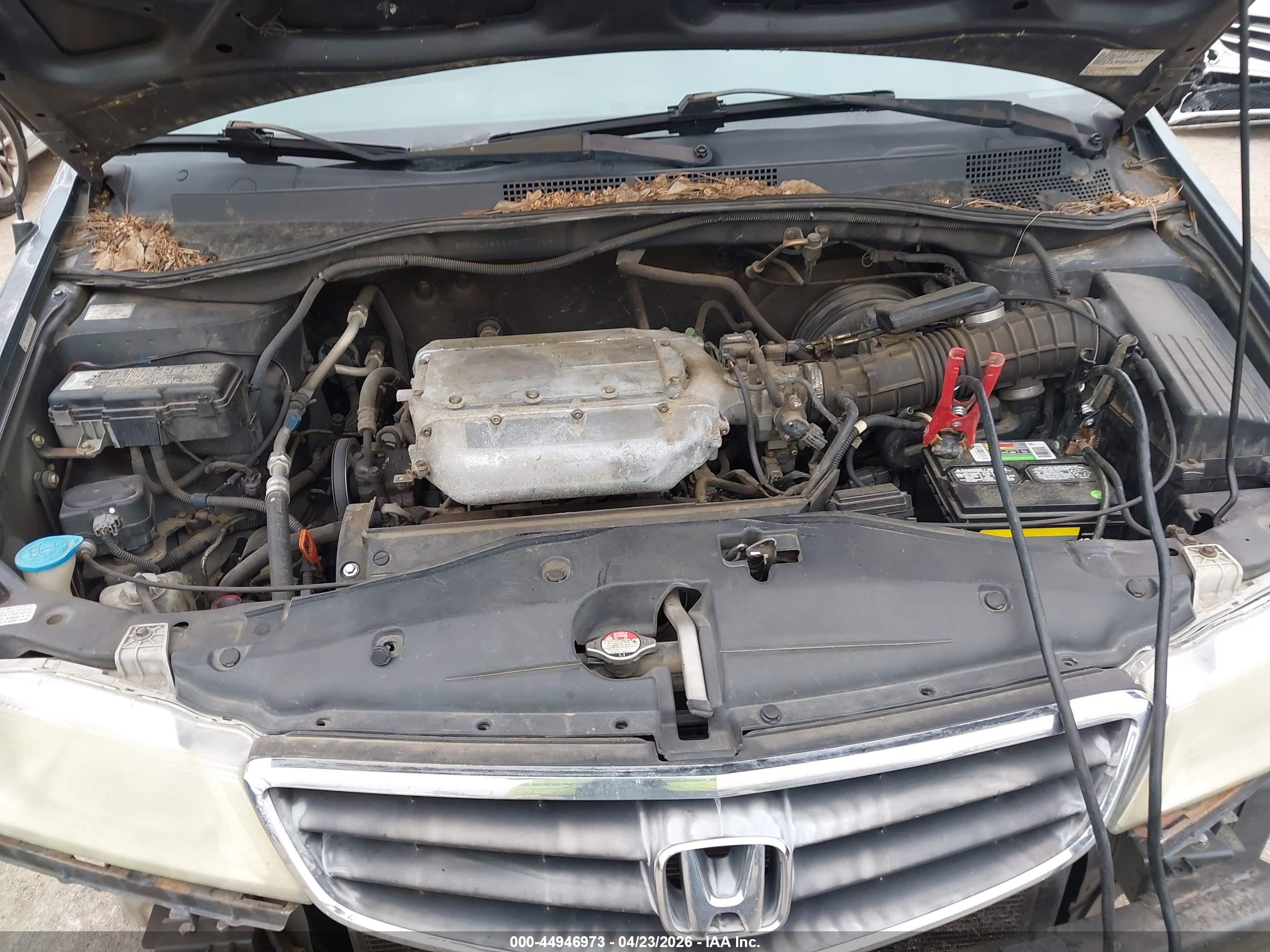 HONDA ODYSSEY image 10