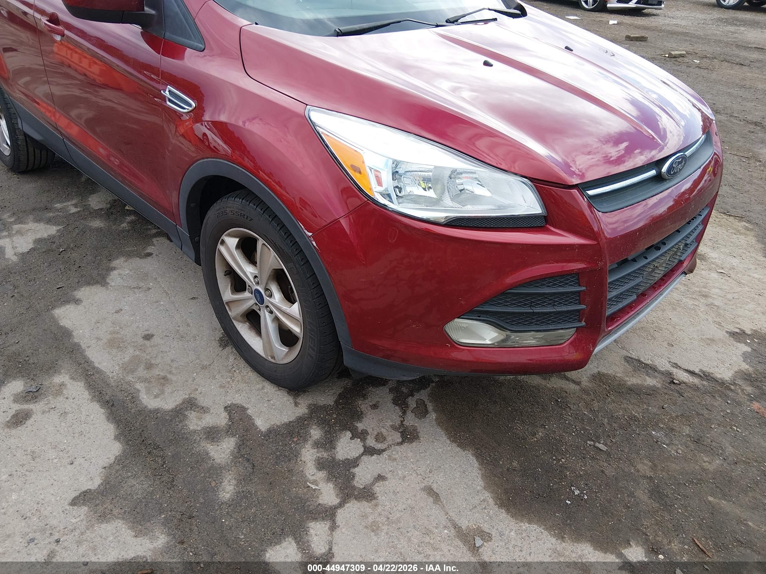FORD ESCAPE image 6