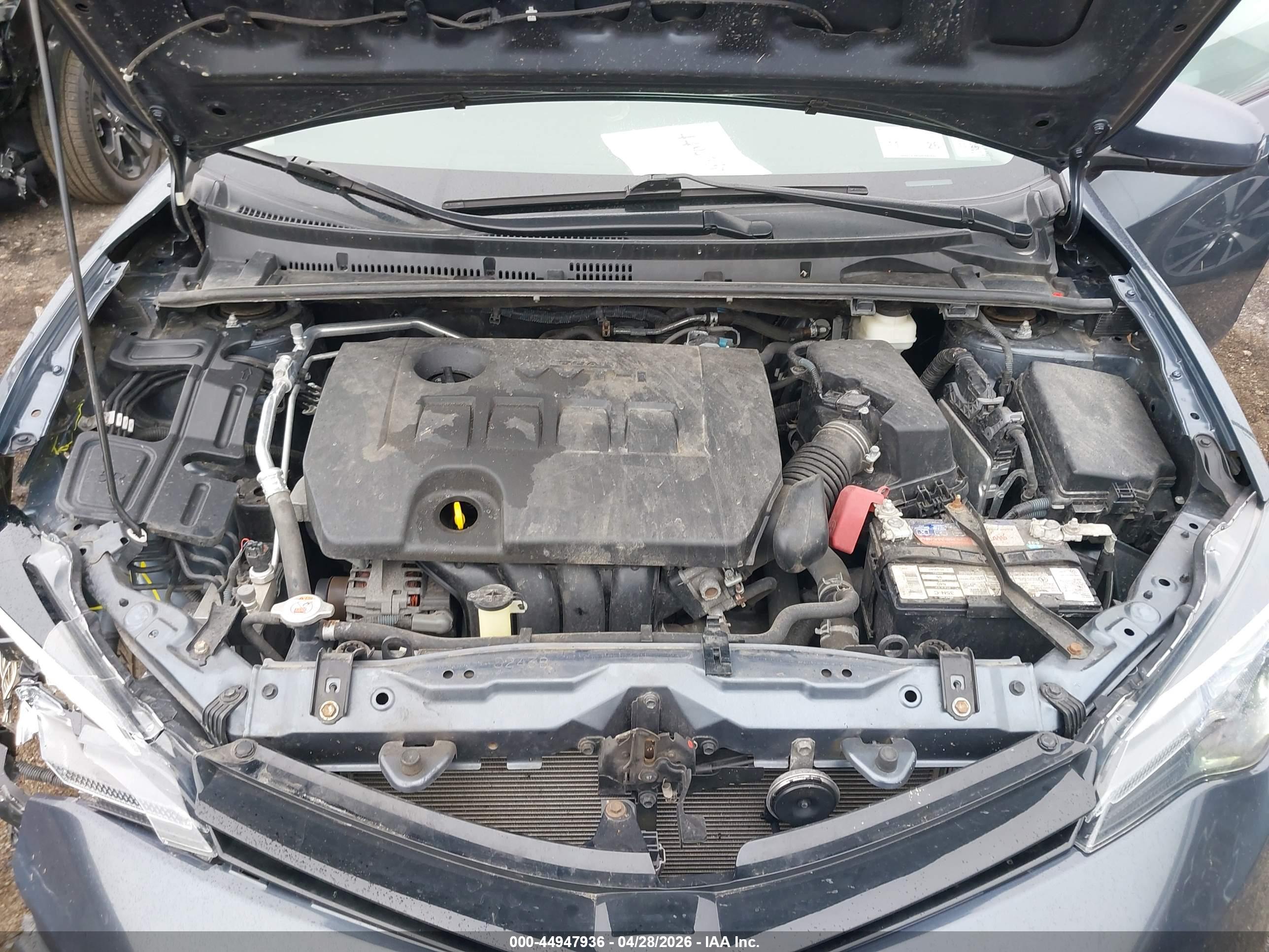 TOYOTA COROLLA image 10